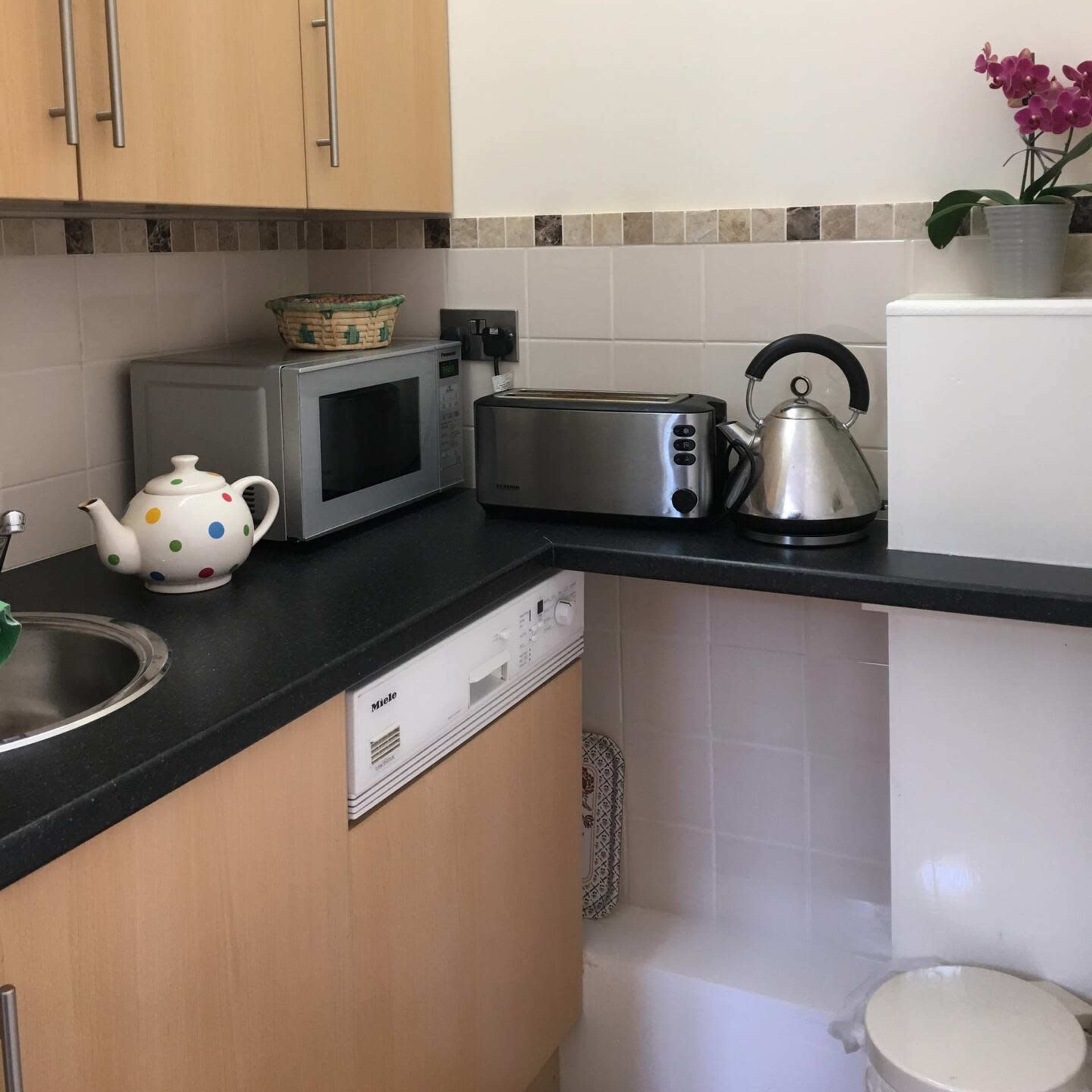 A kitchen countertop features a kettle, microwave, toaster, and a teapot beside a small orchid plant.