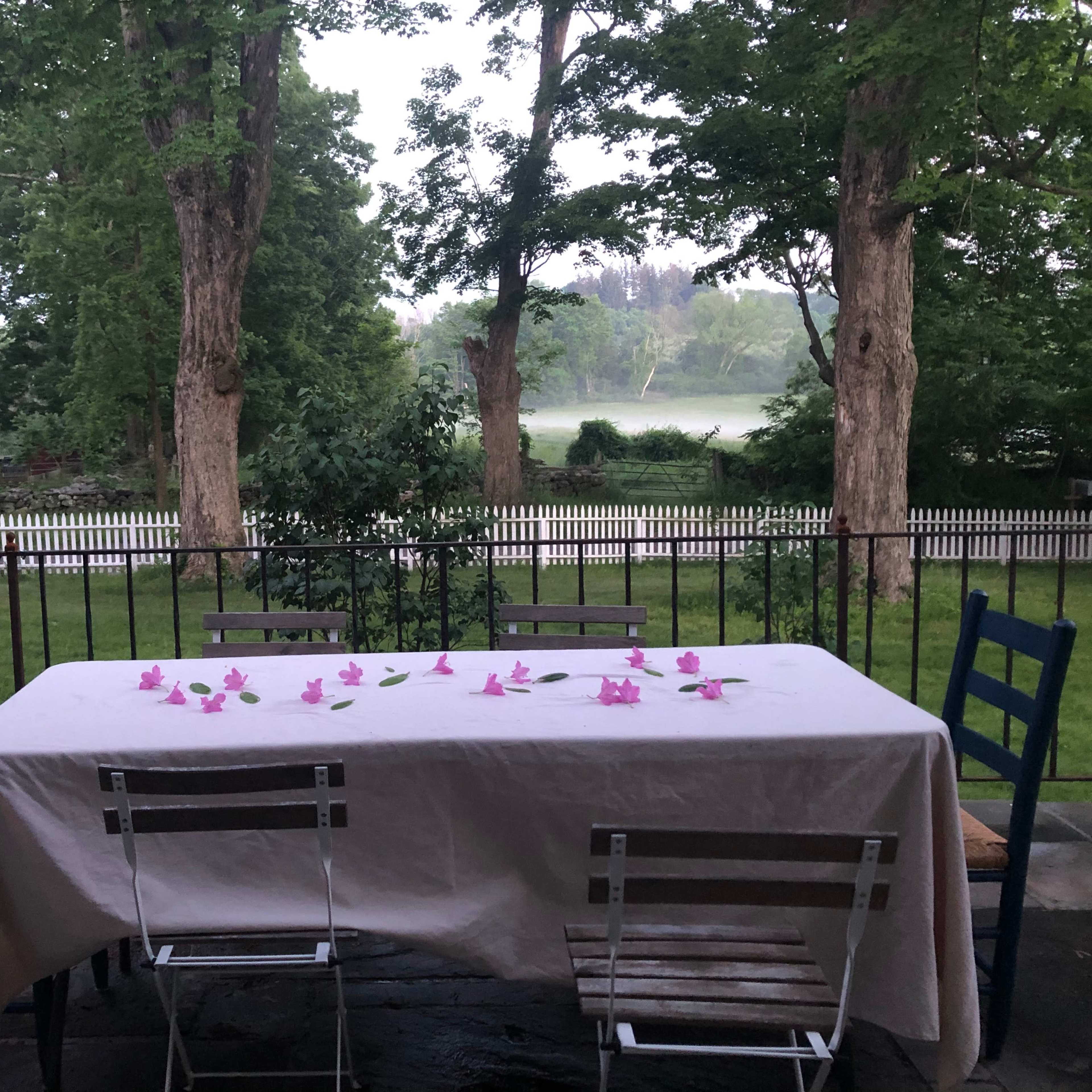 A table covered with a white cloth and adorned with pink flowers sits on a patio overlooking a green landscape with trees and a river in the background.