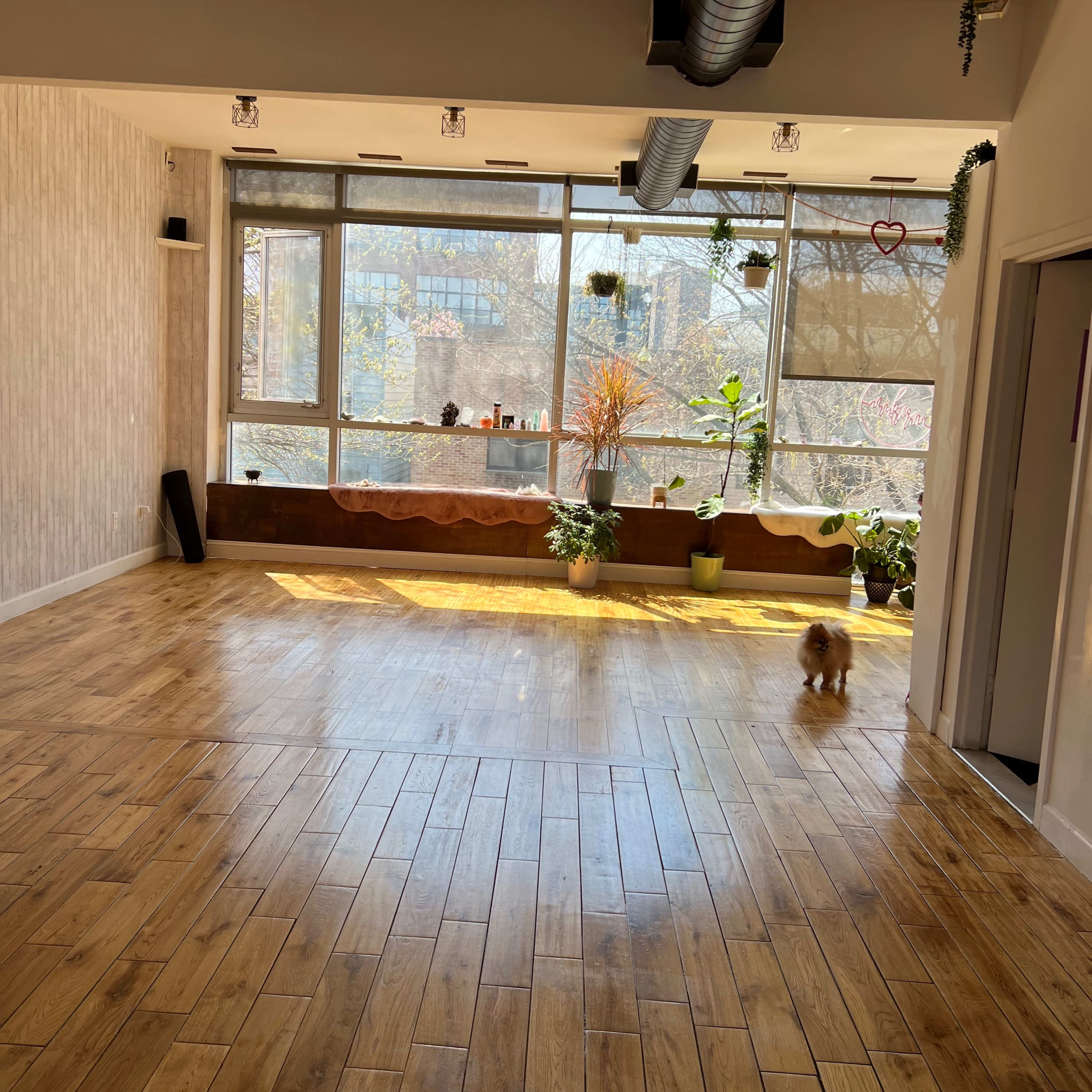 A spacious, well-lit room with wooden flooring and large windows lined with plants.