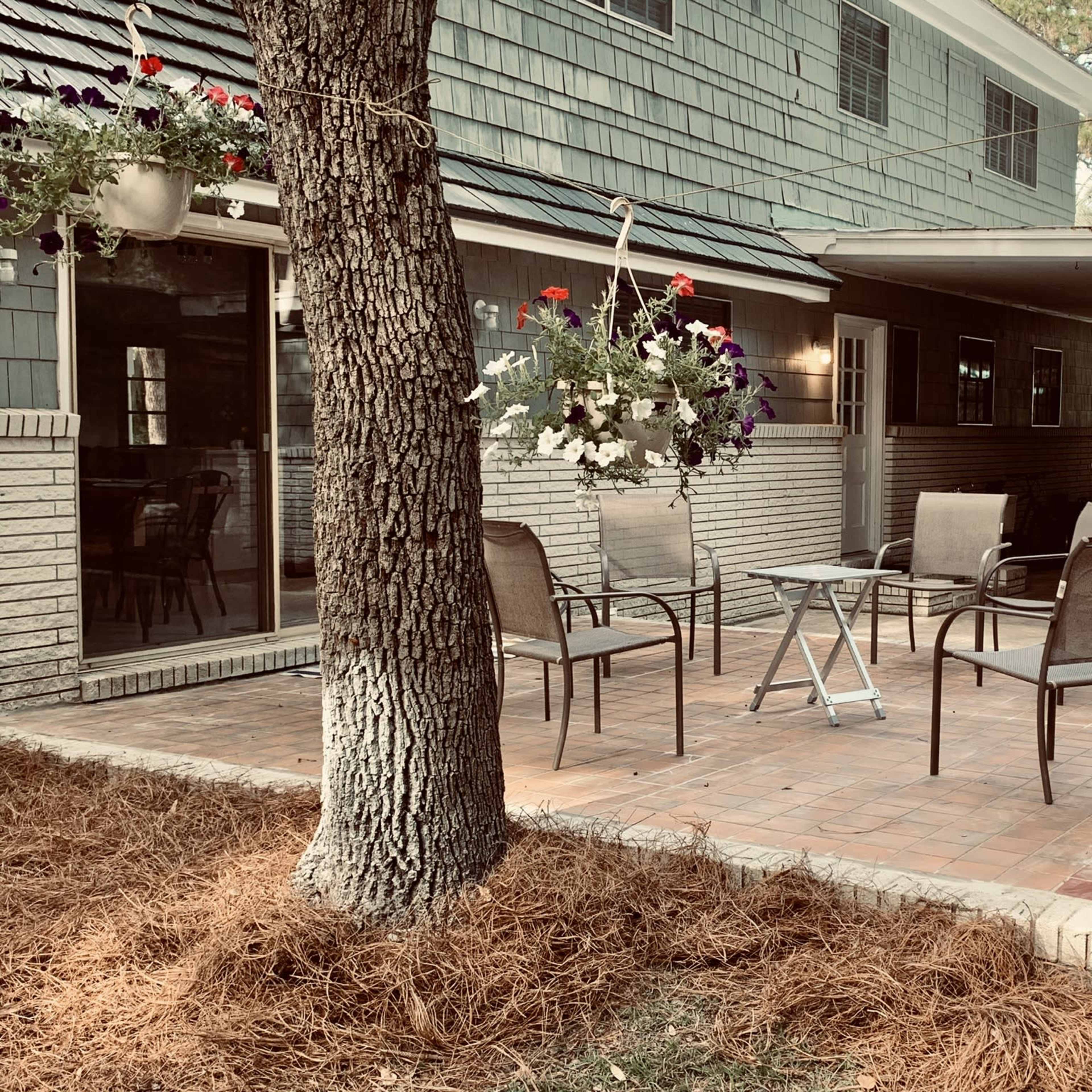 A brick patio featuring four chairs and a small table, surrounded by pine straw and a tree, is positioned next to a house with green siding.