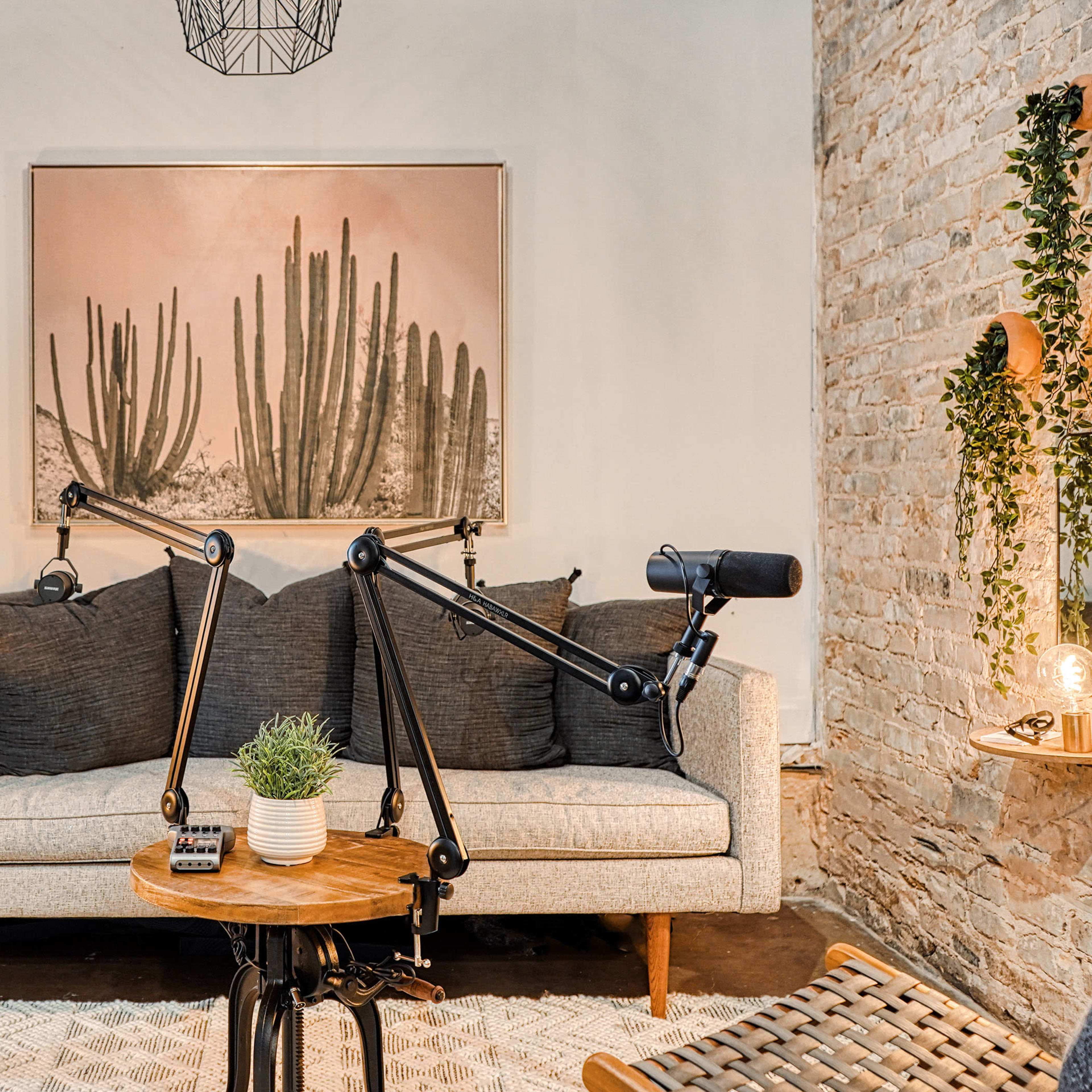 A cozy living space with a light-colored sofa, decorative plants, and a microphone setup on a wooden table.