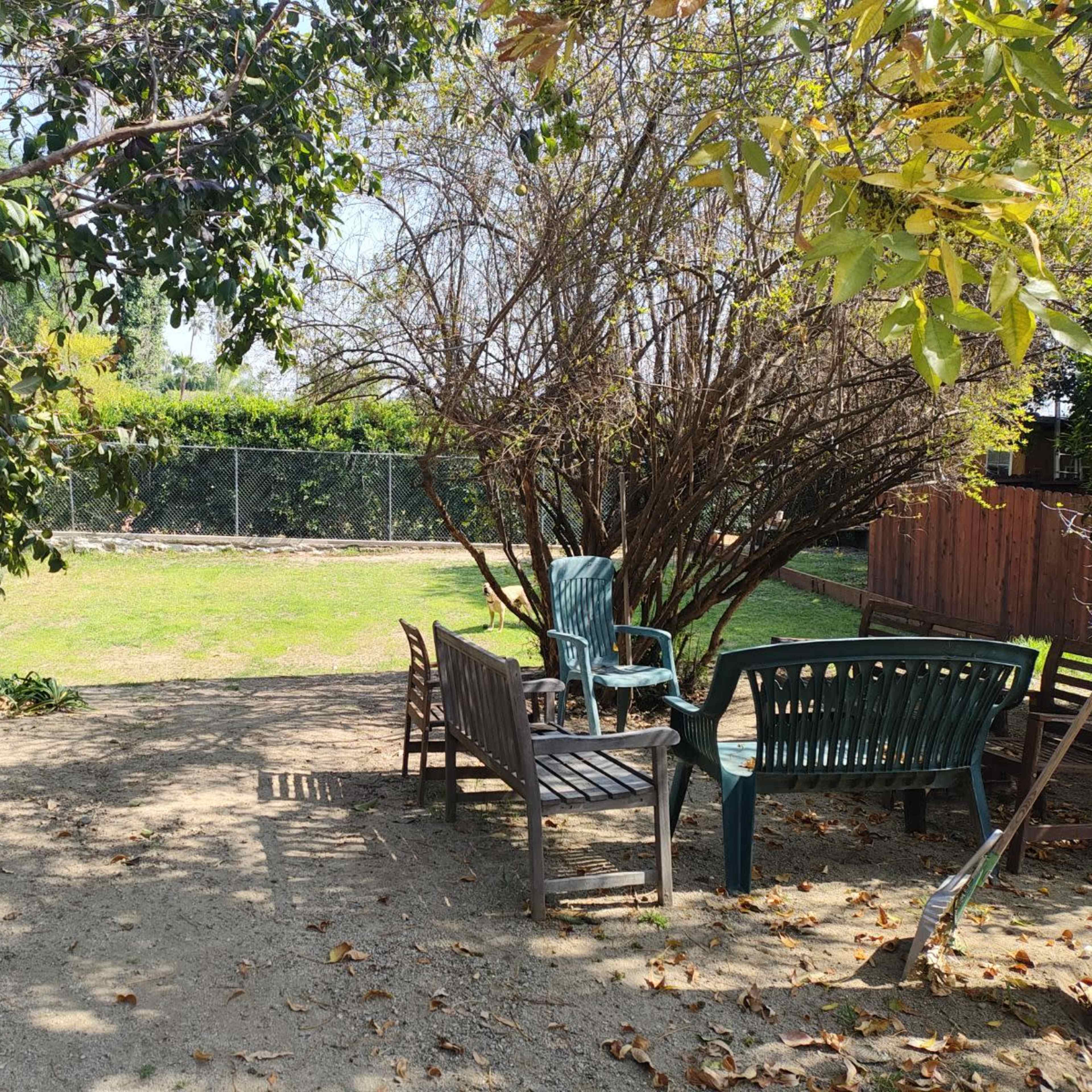 A shaded backyard features several chairs arranged near a patch of grass surrounded by trees and a fence.