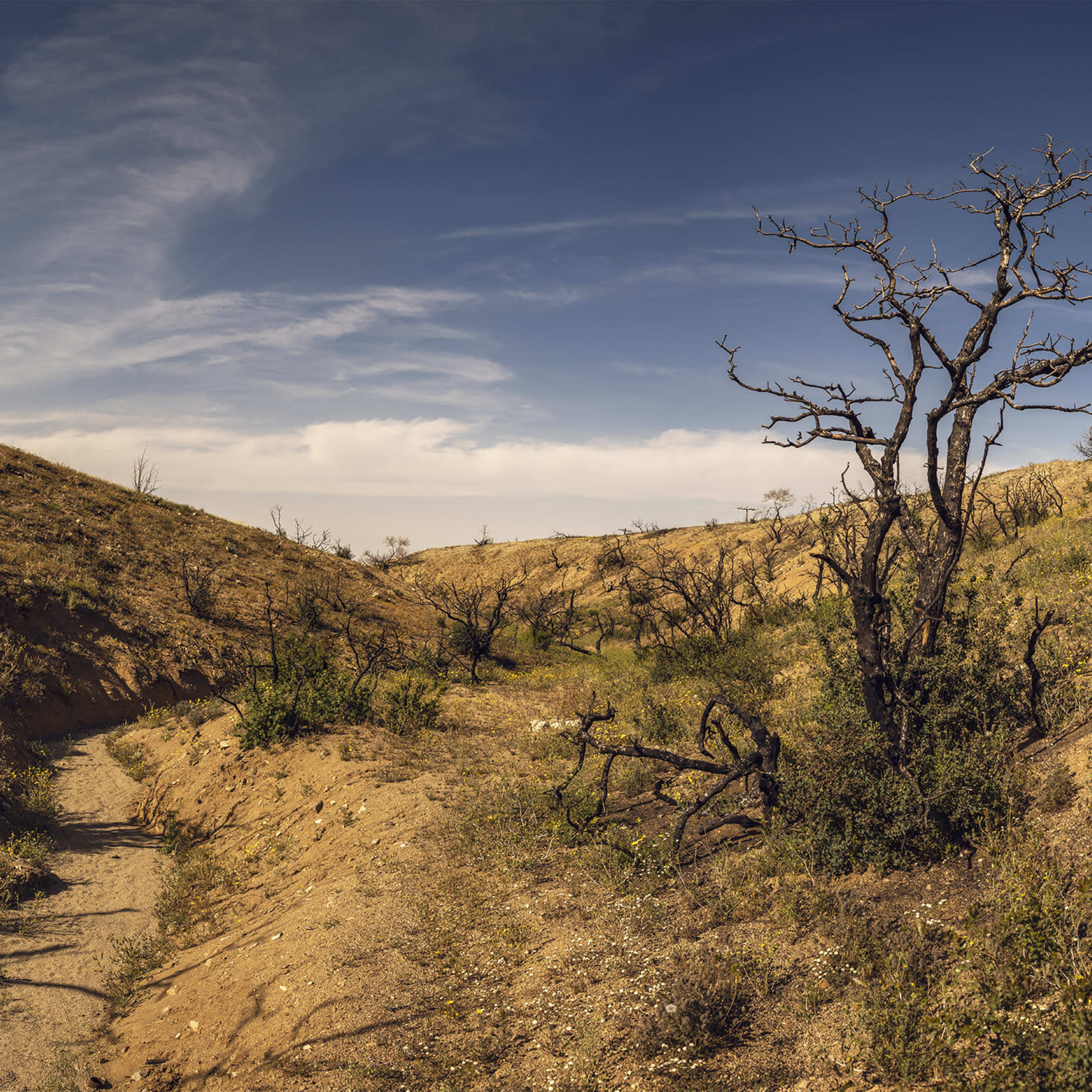 A dry, U-shaped valley with sparse vegetation and charred trees against a blue sky.