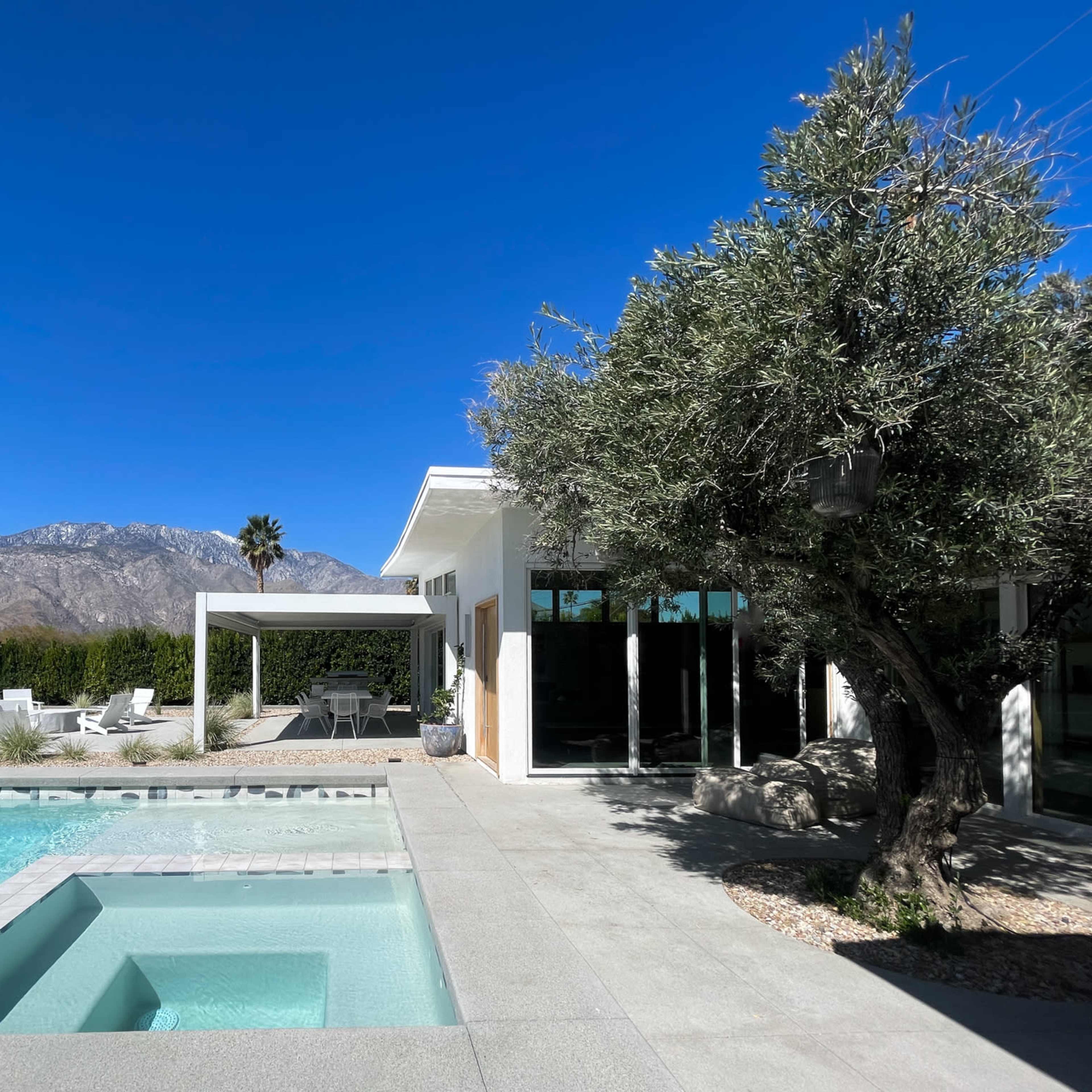 A modern home with a swimming pool and mountain views is surrounded by landscaped greenery and features an olive tree.