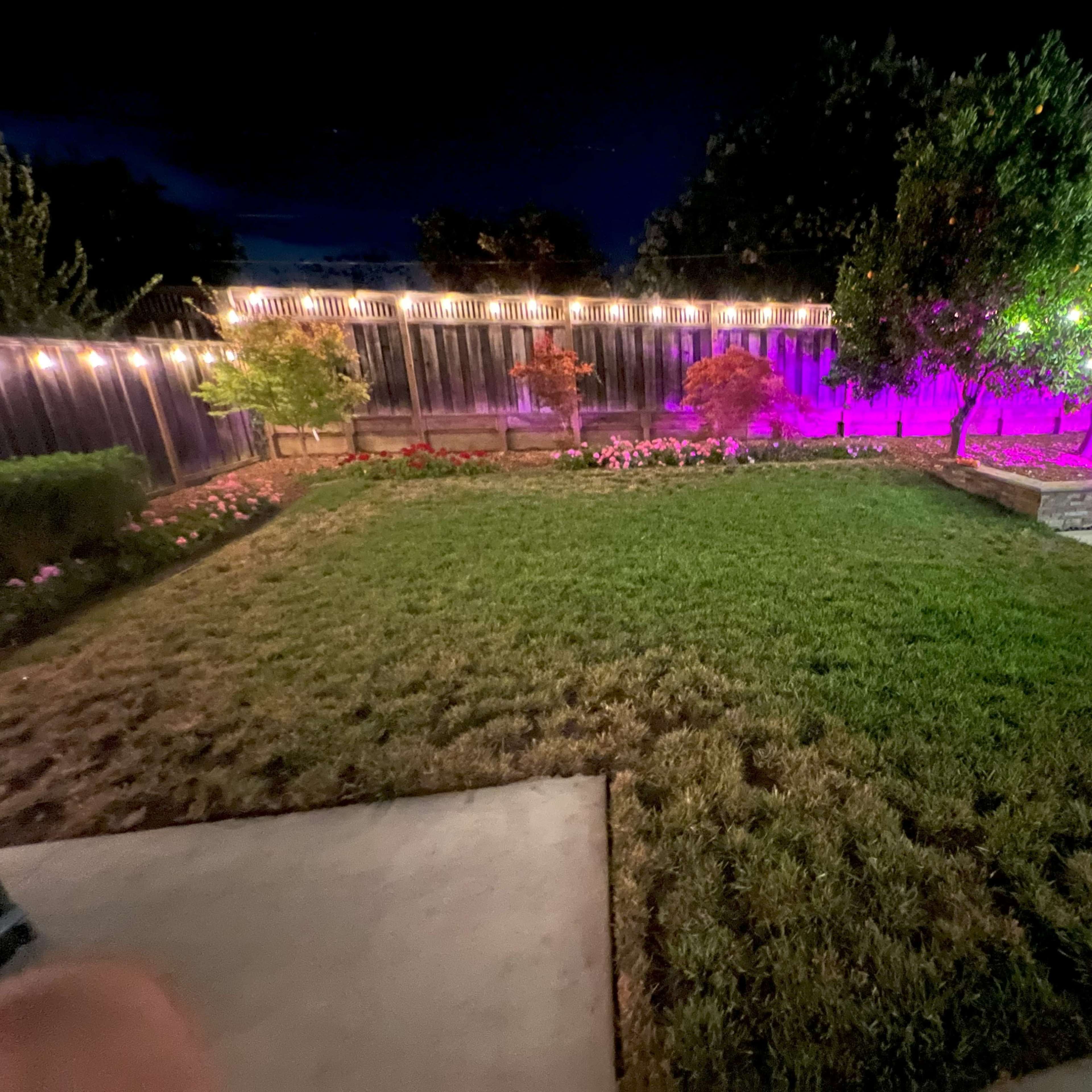 The backyard features a well-manicured lawn surrounded by illuminated trees and flower beds at night.