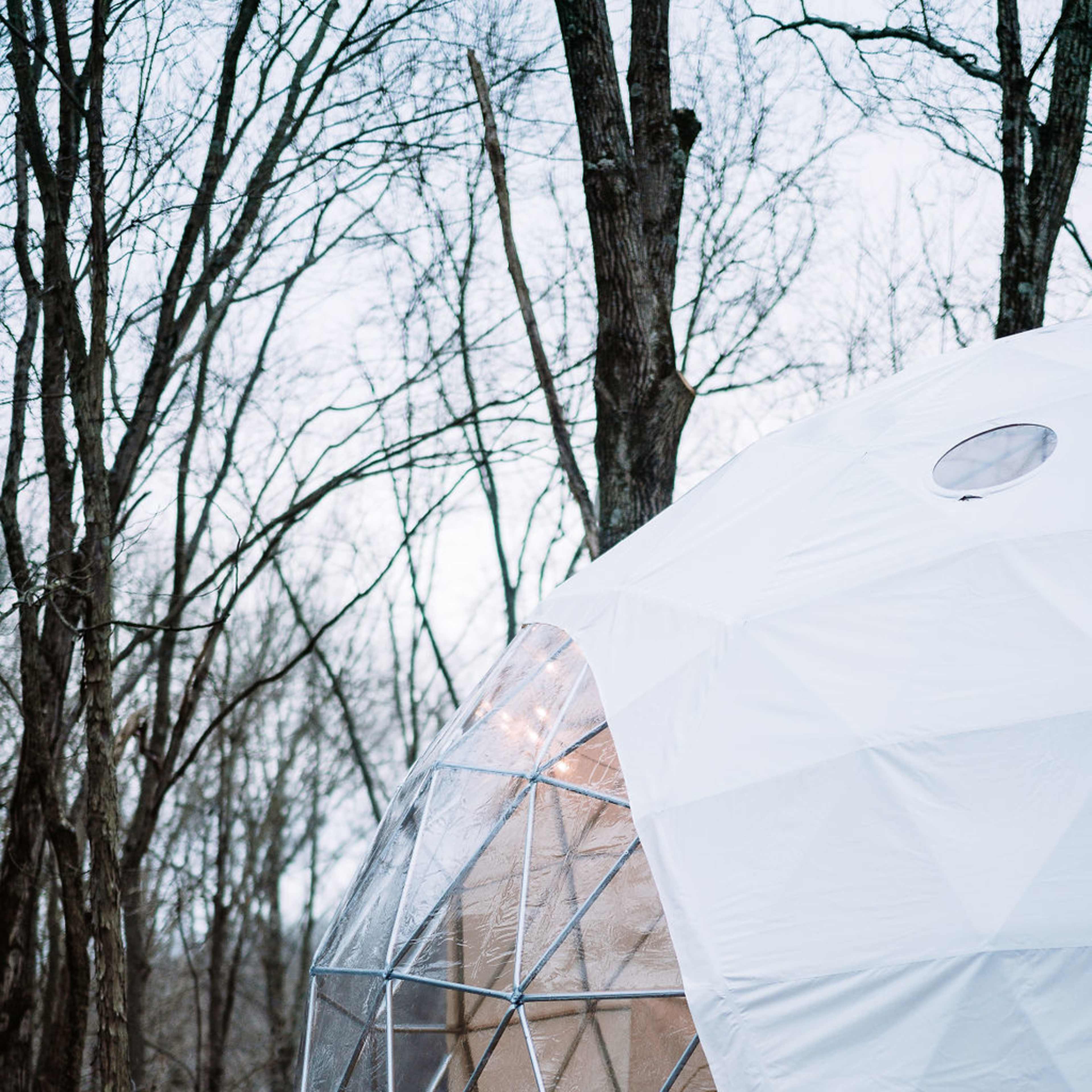 A geodesic dome structure with a transparent facade is set among bare trees in a forest.