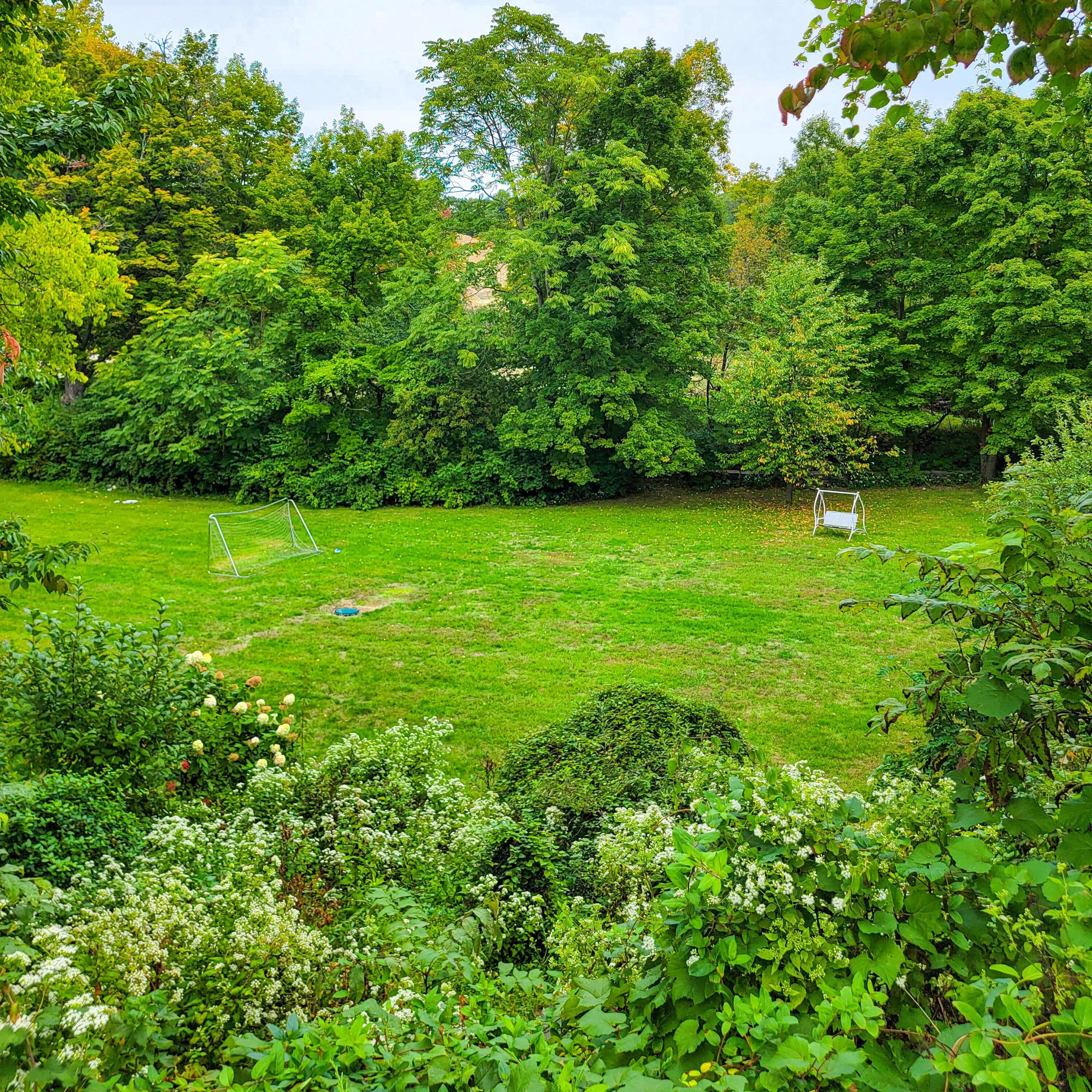 A grassy area surrounded by trees features two swing sets on opposite sides.
