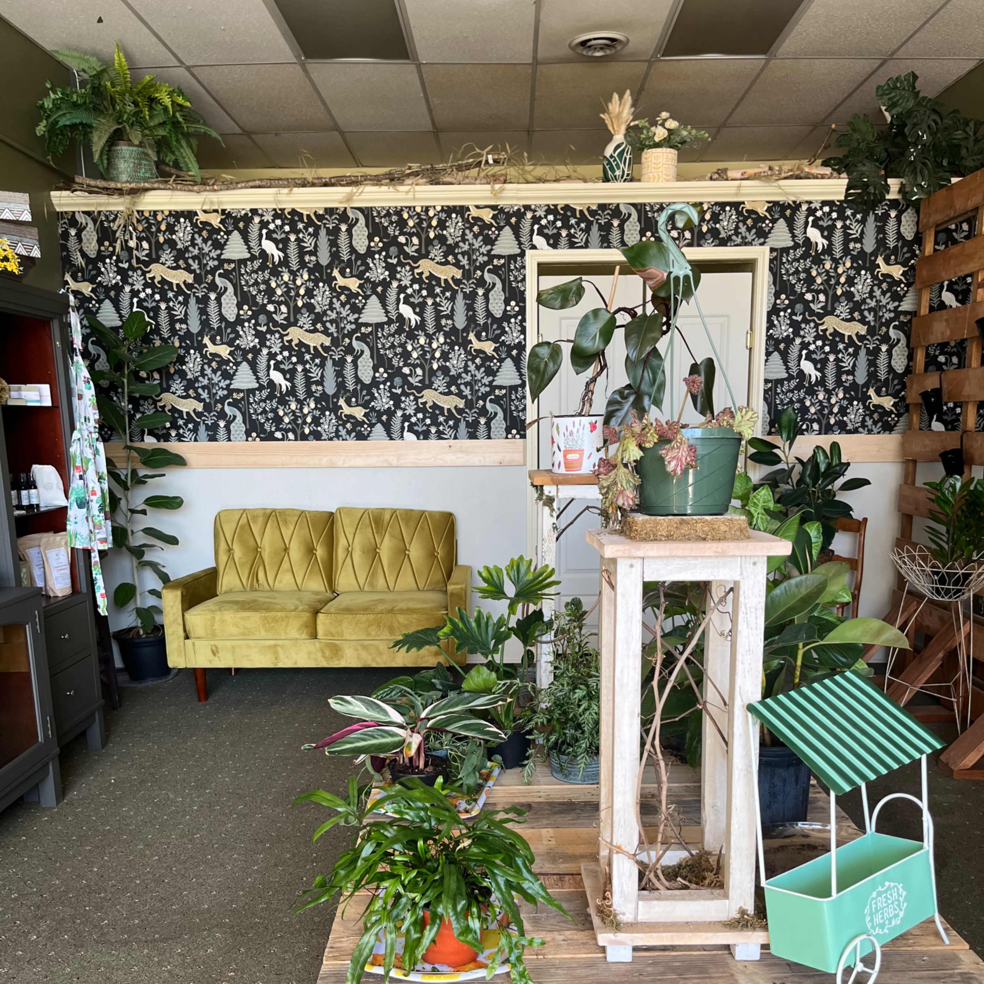 Downtown Plant and Floral Studio Image in Hendersonville, Hendersonville, NC