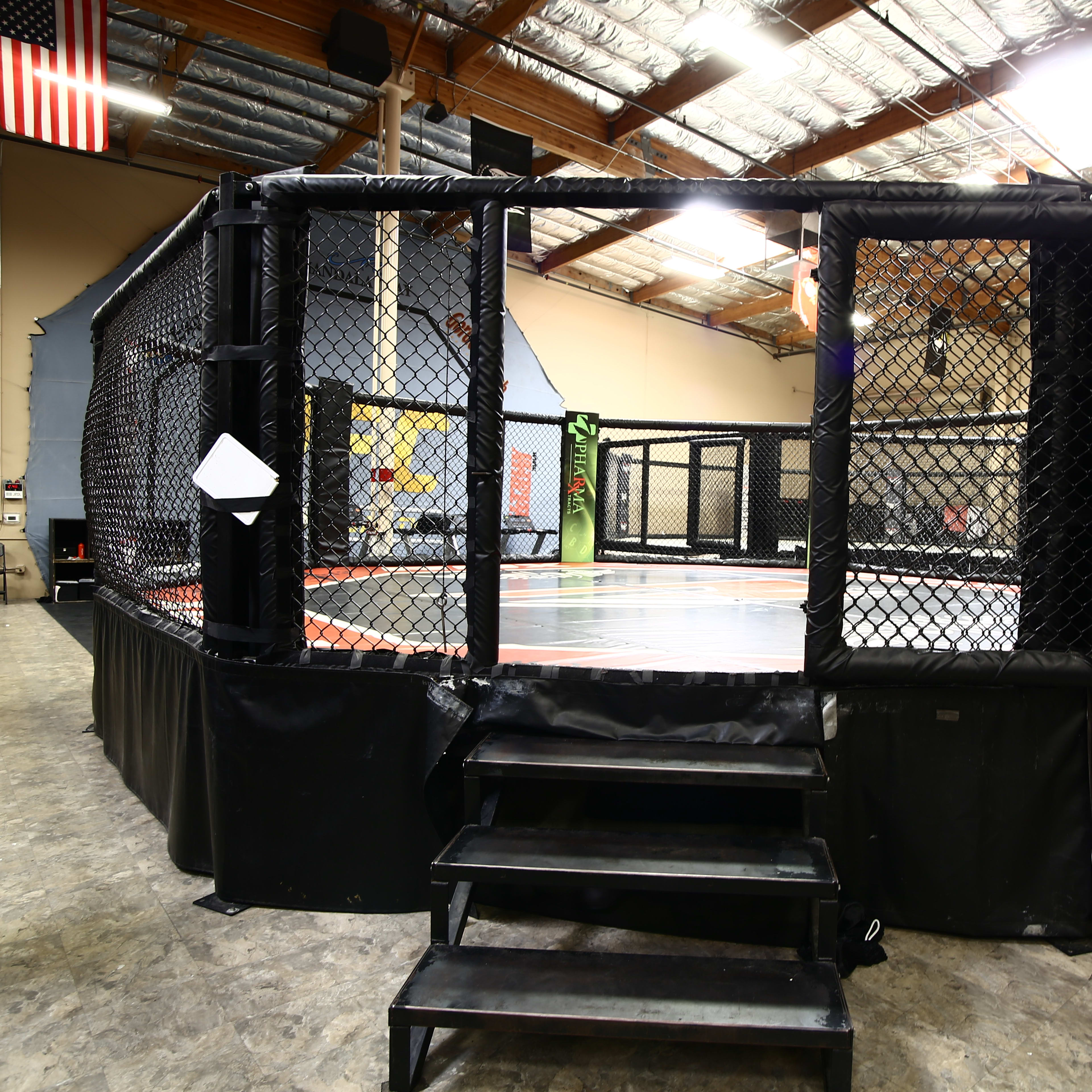 A wrestling or mixed martial arts octagon cage set up indoors with a noted space for spectators in the background.