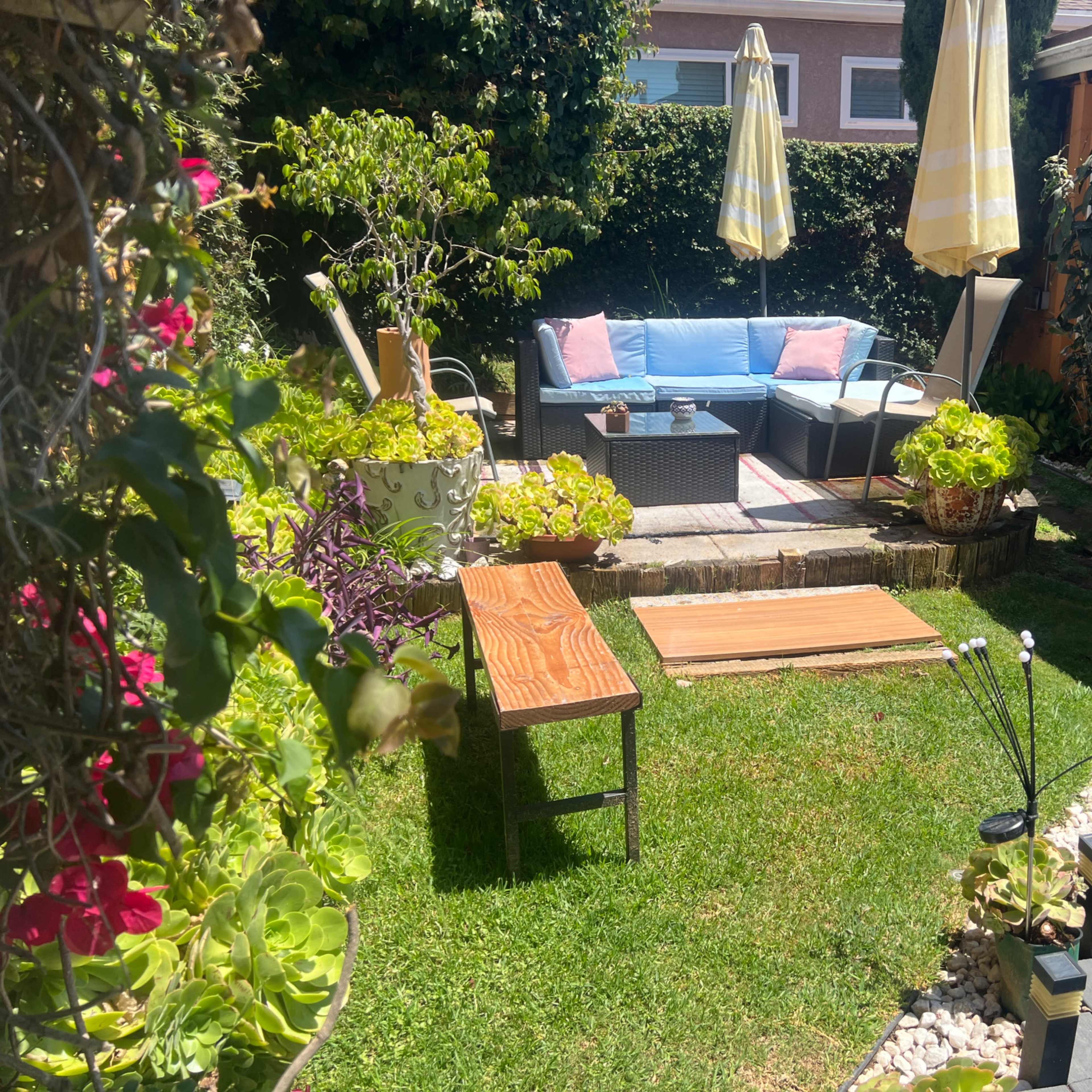 Studio with Ocean View Image in Mar Vista, Los Angeles, CA