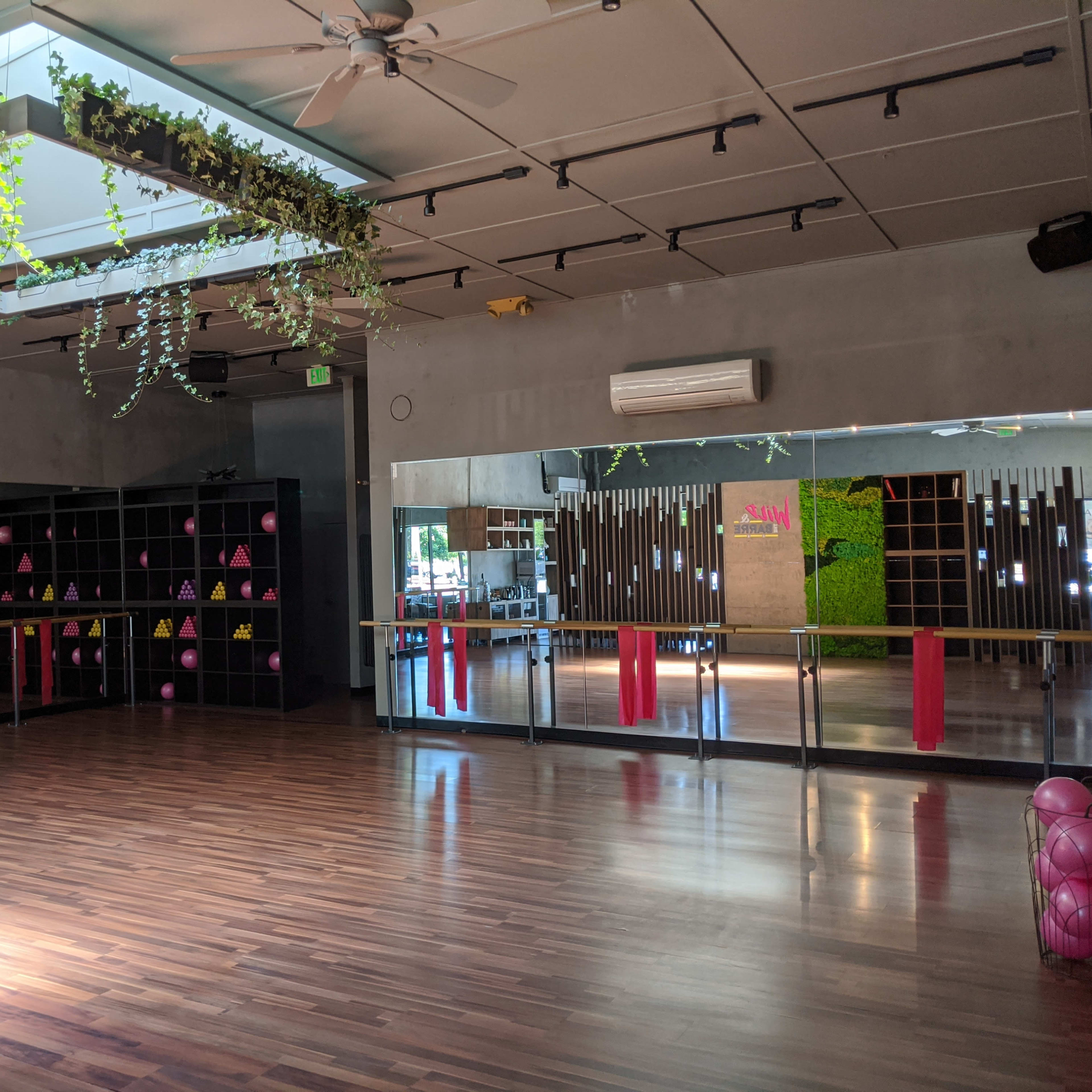 A fitness studio featuring a wooden floor, large mirrors, shelves with colorful equipment, and a ceiling adorned with plants.