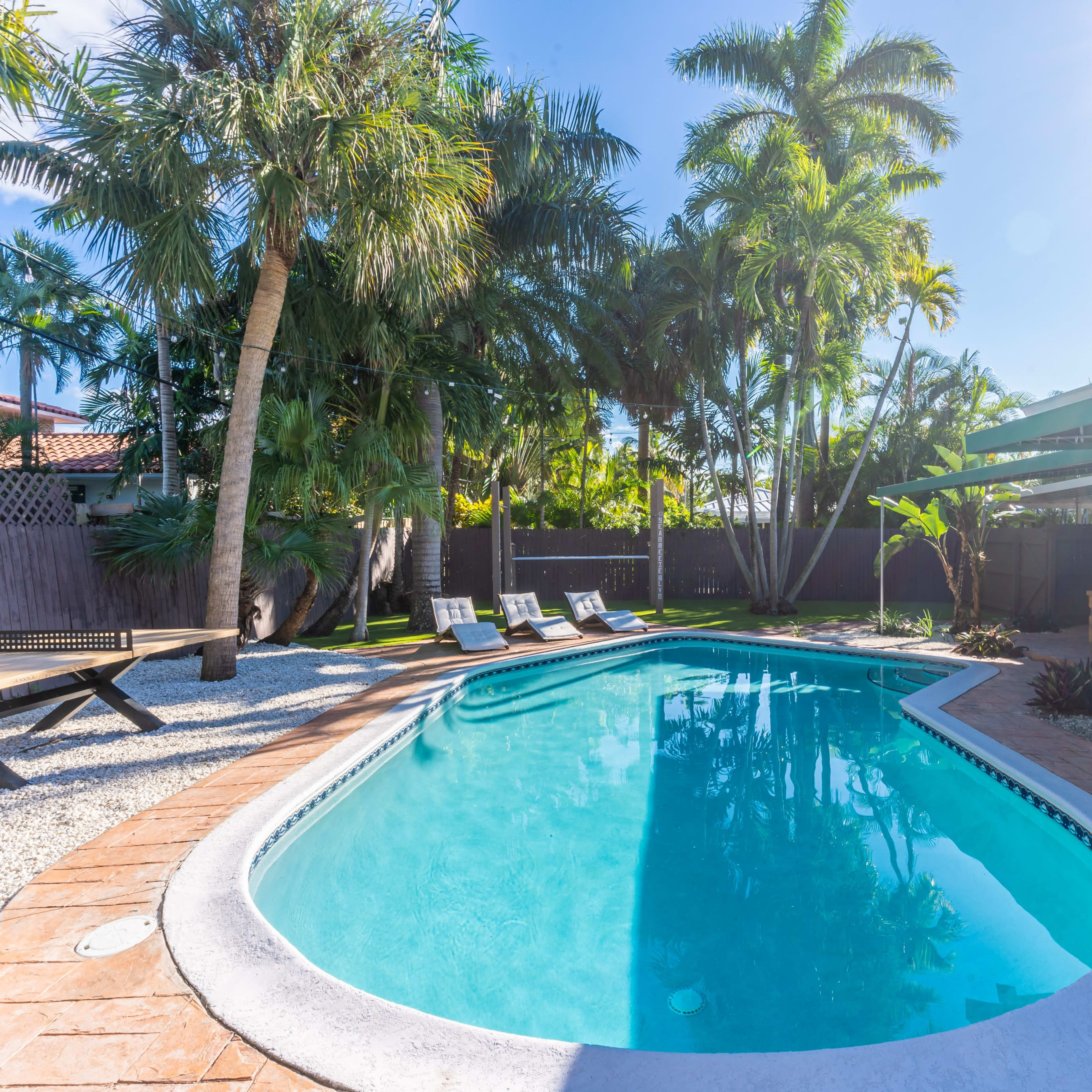 A backyard pool surrounded by palm trees and lounge chairs, with a small house visible in the background.