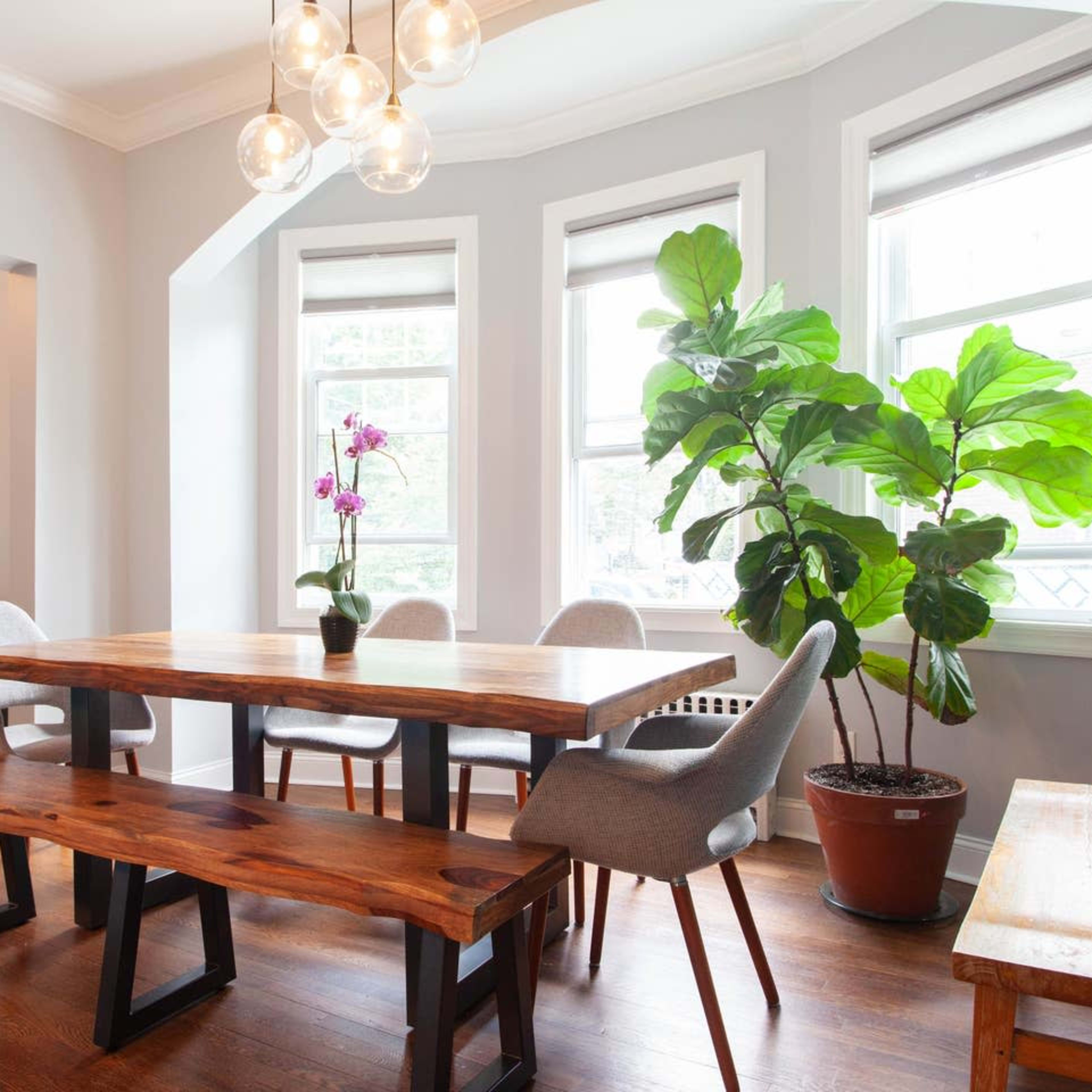 A wooden dining table with chairs is positioned in a bright, airy room featuring large windows and a potted plant.