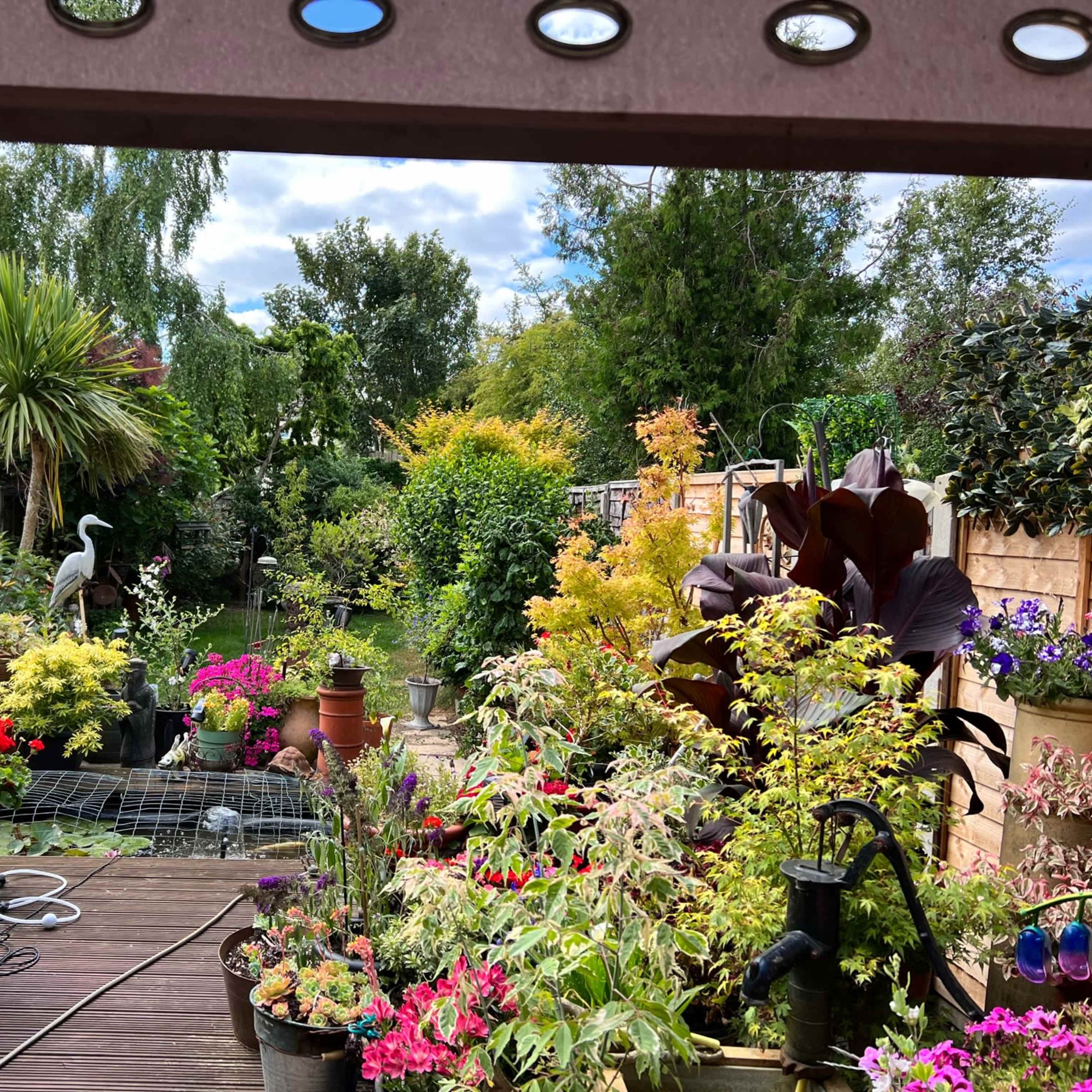 A vibrant garden filled with various plants, flowers, and a sculpture of a heron, viewed from a wooden deck.