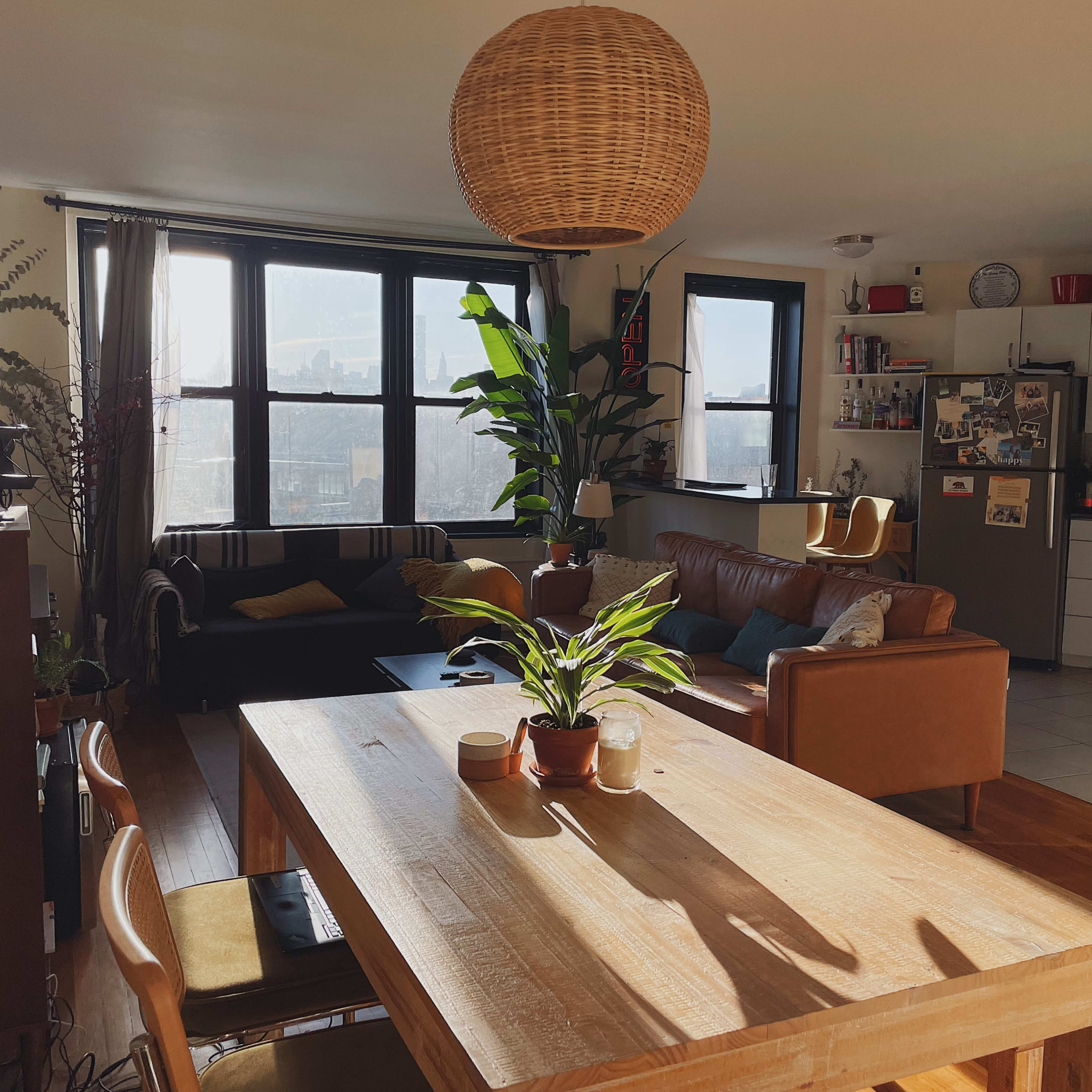 A bright living space features a wooden dining table, a leather sofa, and large windows with city views, complemented by various plants and kitchen appliances in the background.