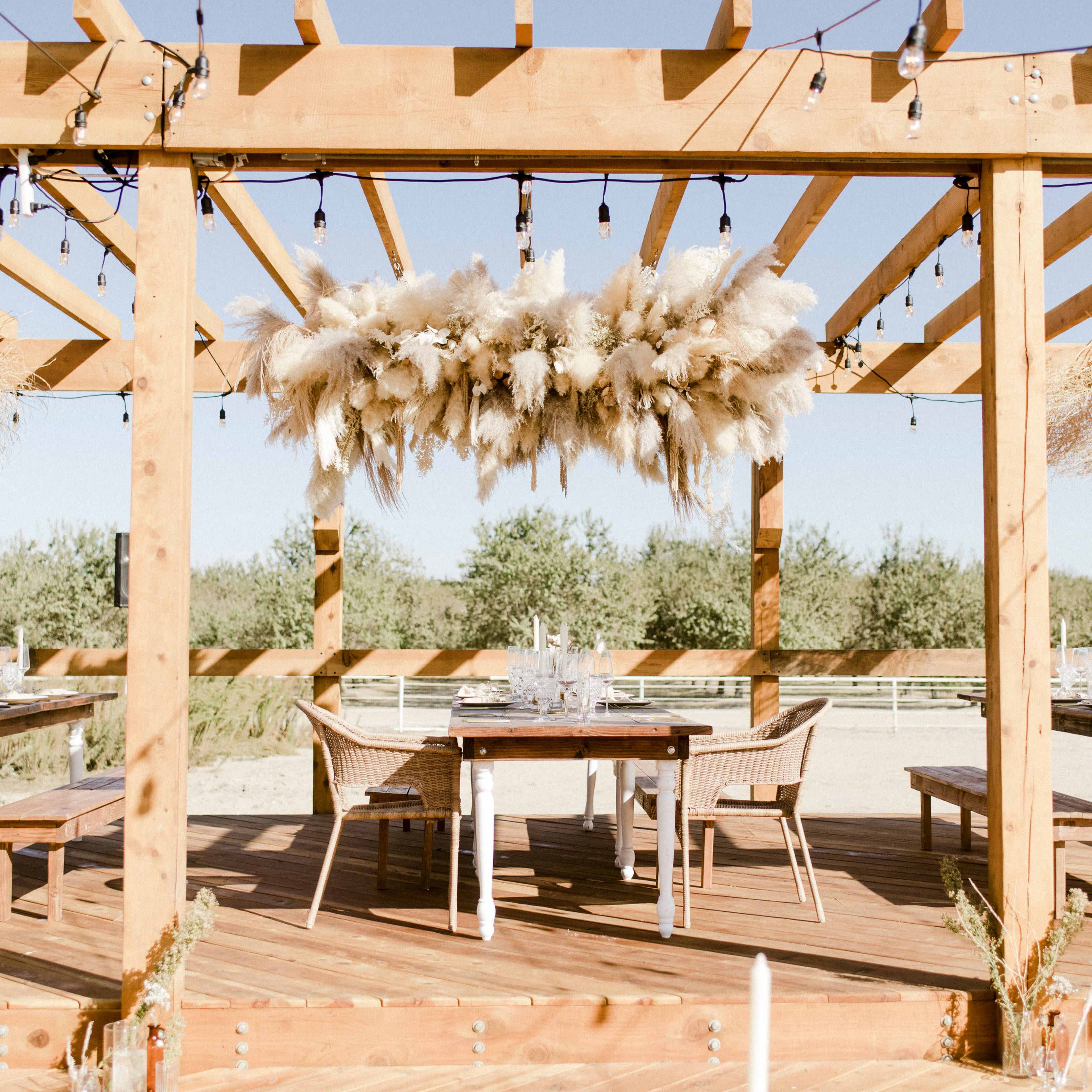 Farmhouse surrounded by Almond Orchards Image in , Fresno, CA