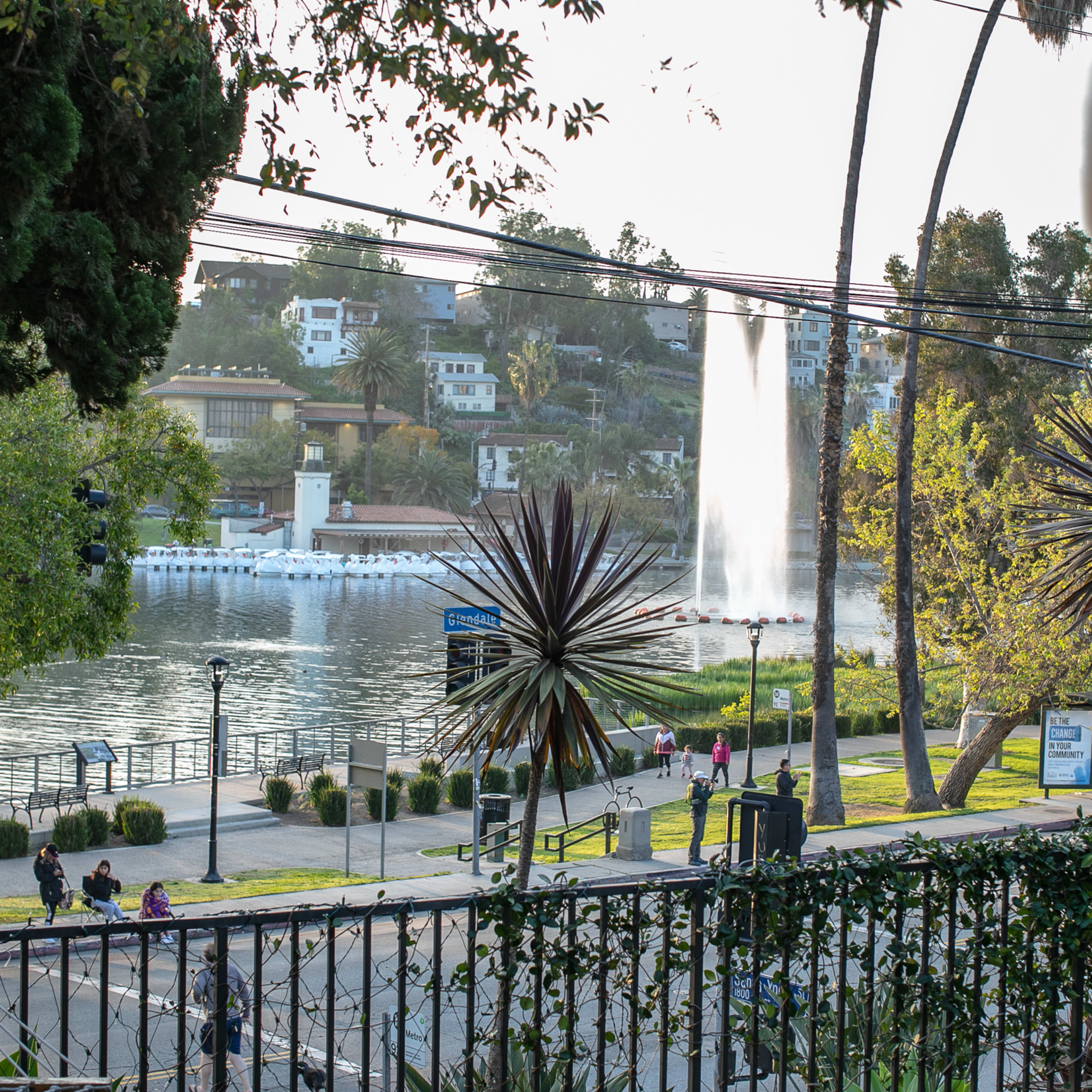 A tranquil lakeside park with a fountain, surrounded by greenery and a pathway lined with palm trees.
