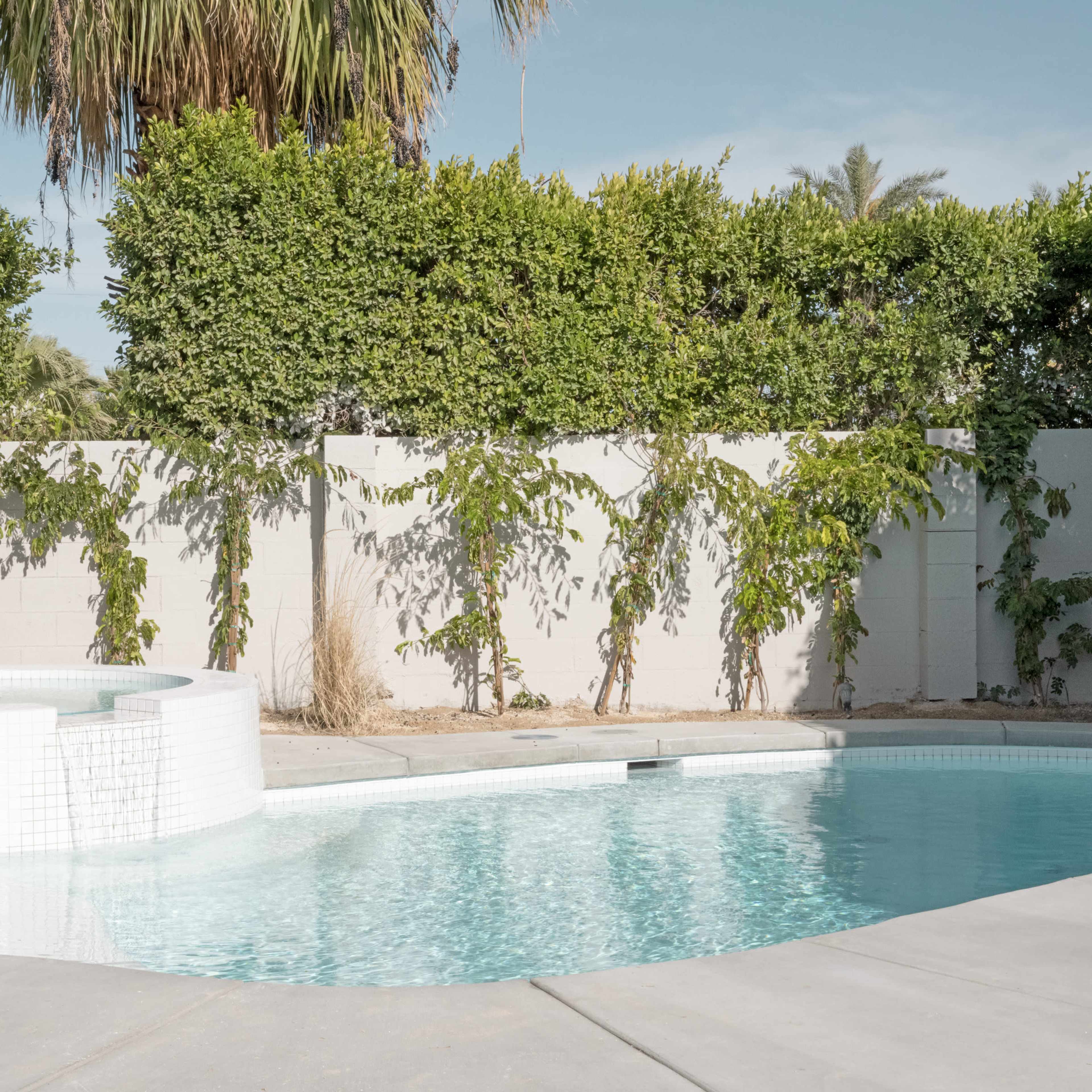 A clear swimming pool with a spa is situated next to a wall covered in green foliage.