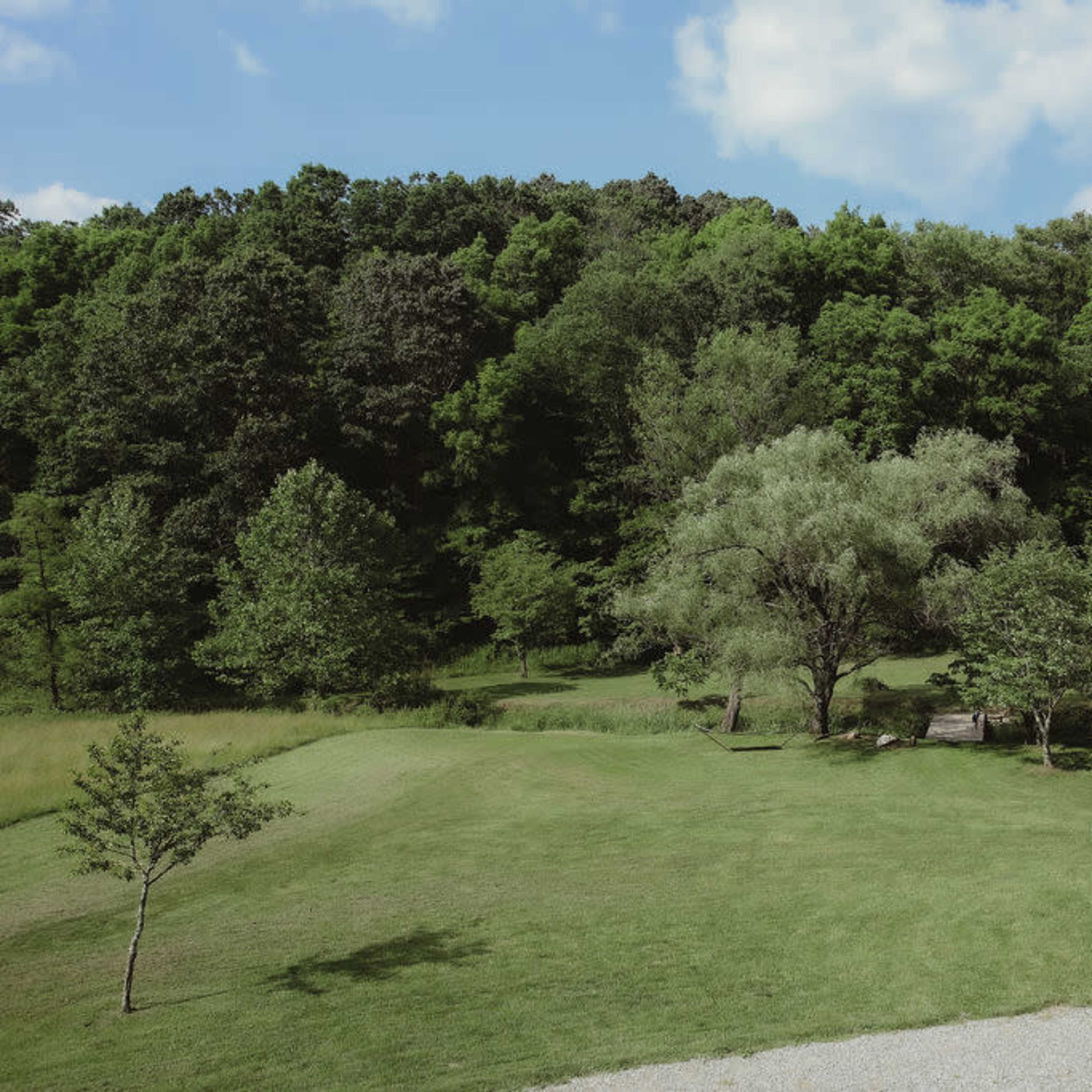 A grassy area is bordered by a dense collection of trees on a hillside under a partly cloudy sky.