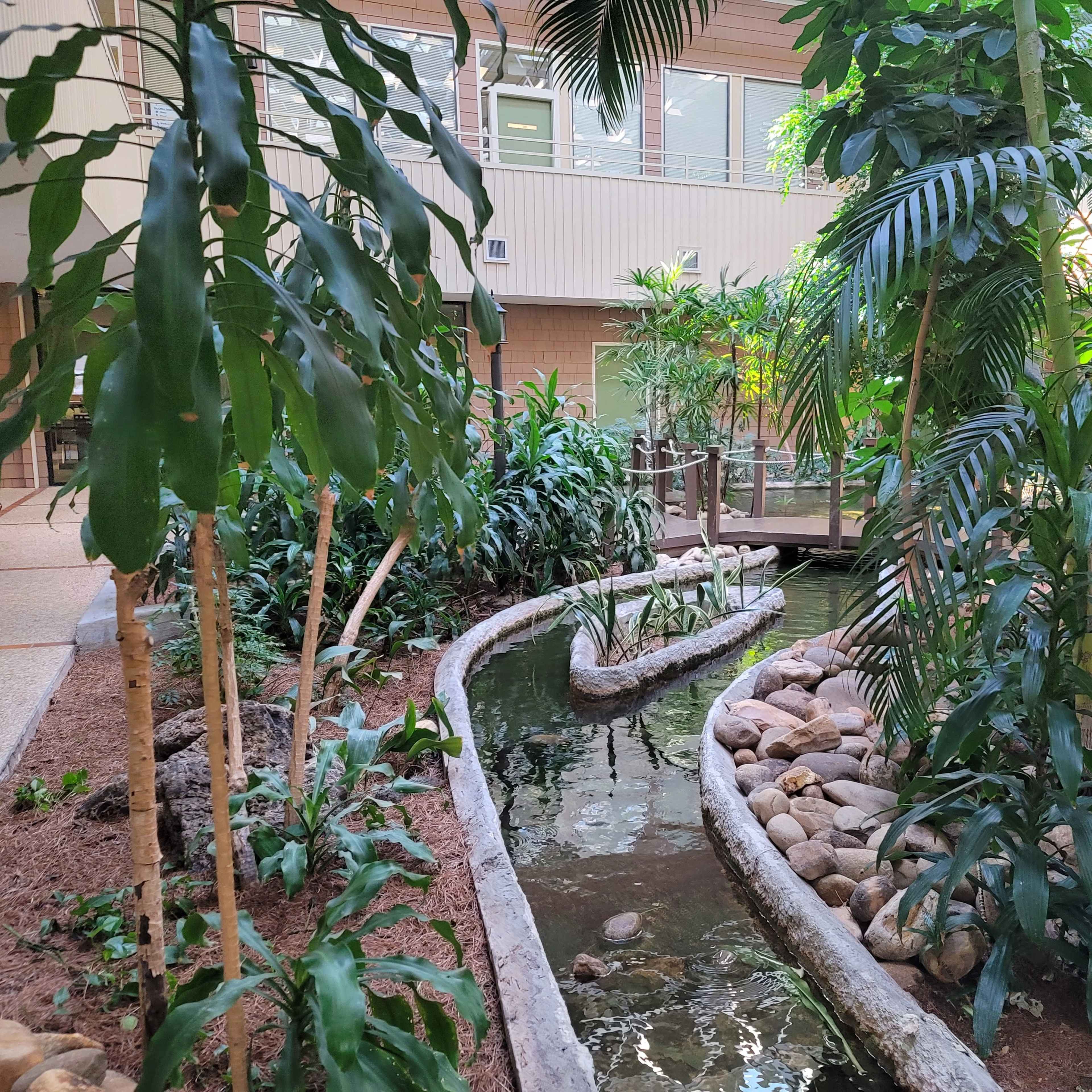 A winding pathway alongside a small pond, surrounded by various plants and trees in an indoor setting.