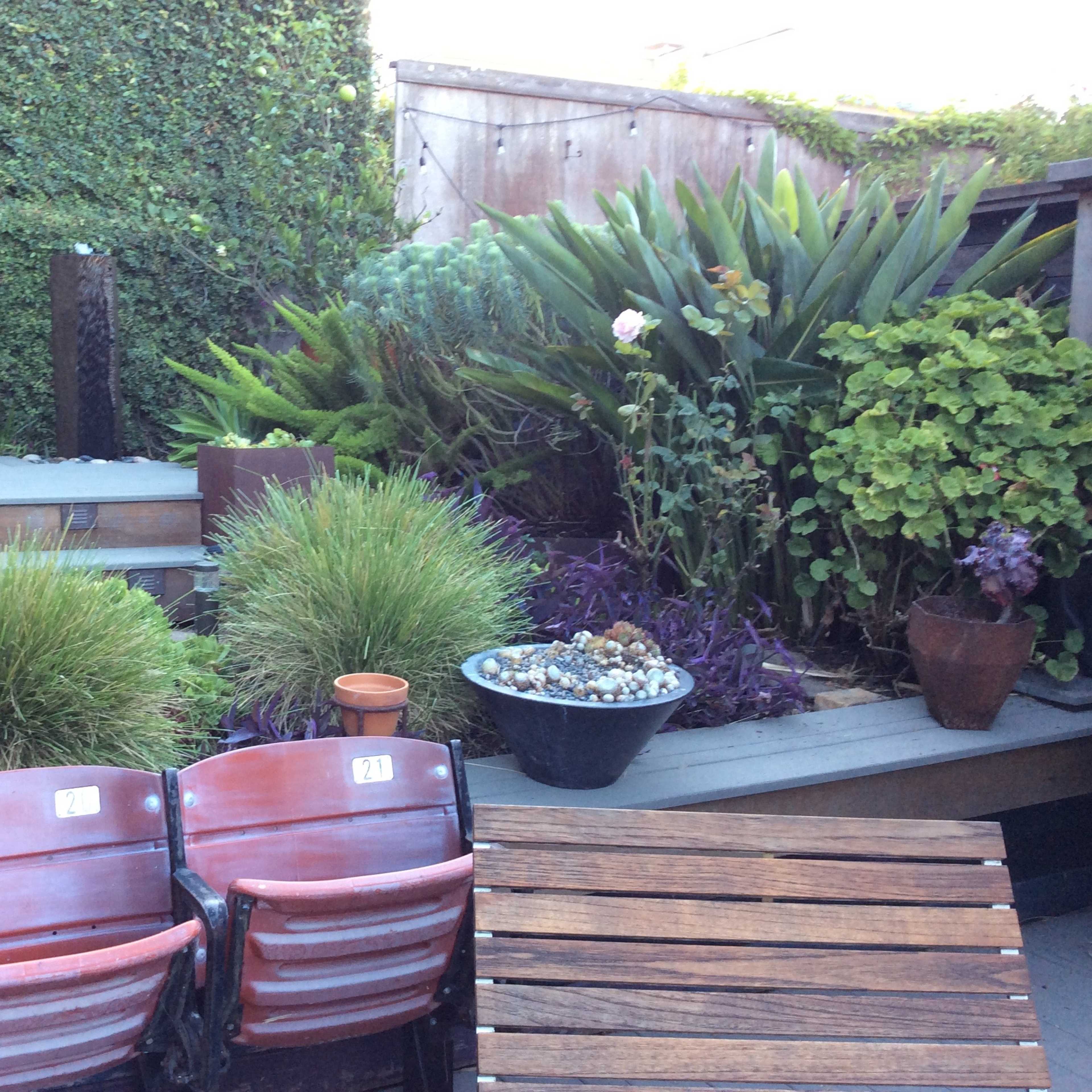 A garden area featuring wooden steps, potted plants, and two old wooden stadium seats positioned in front of a variety of lush greenery.