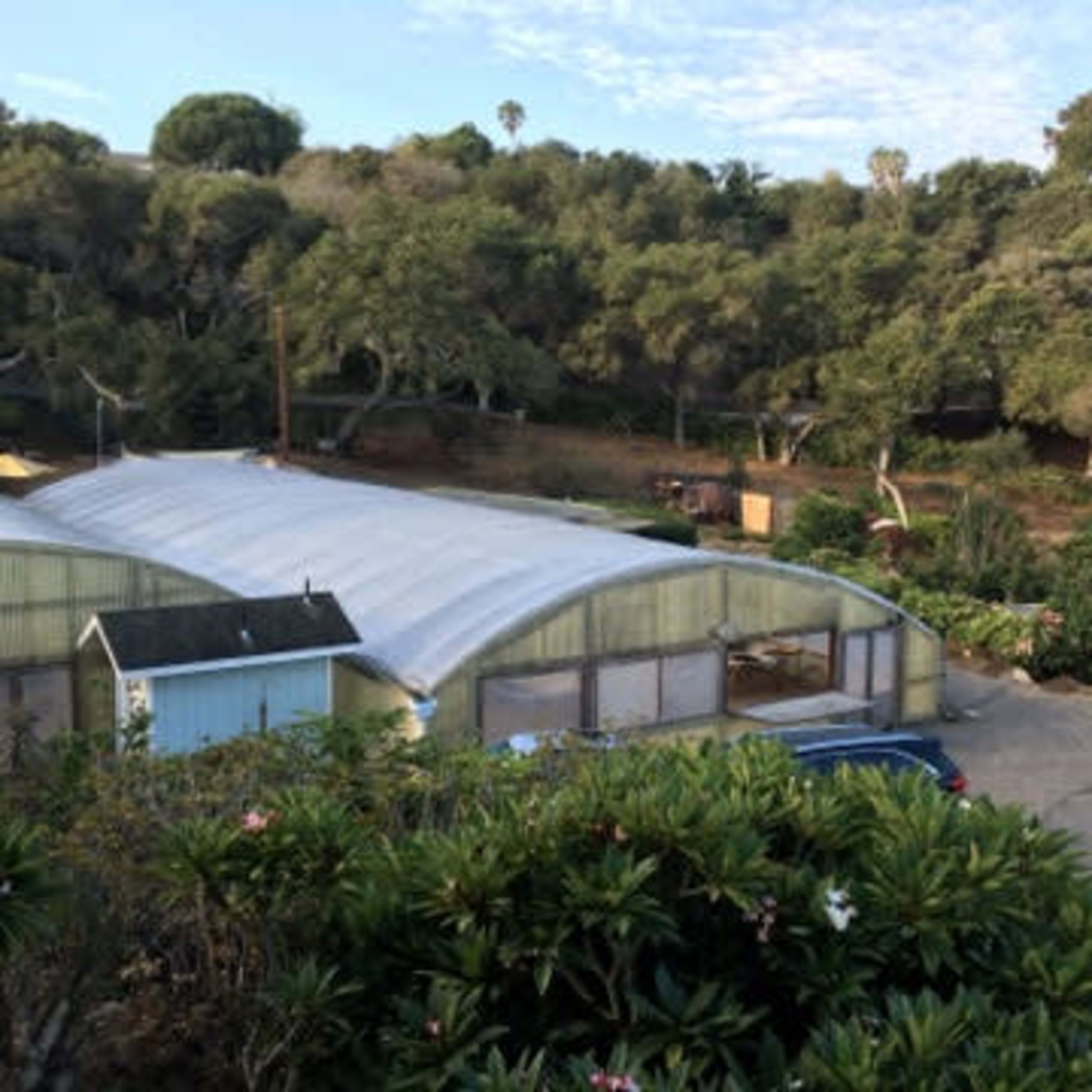 A large greenhouse structure surrounded by trees and a gravel driveway.