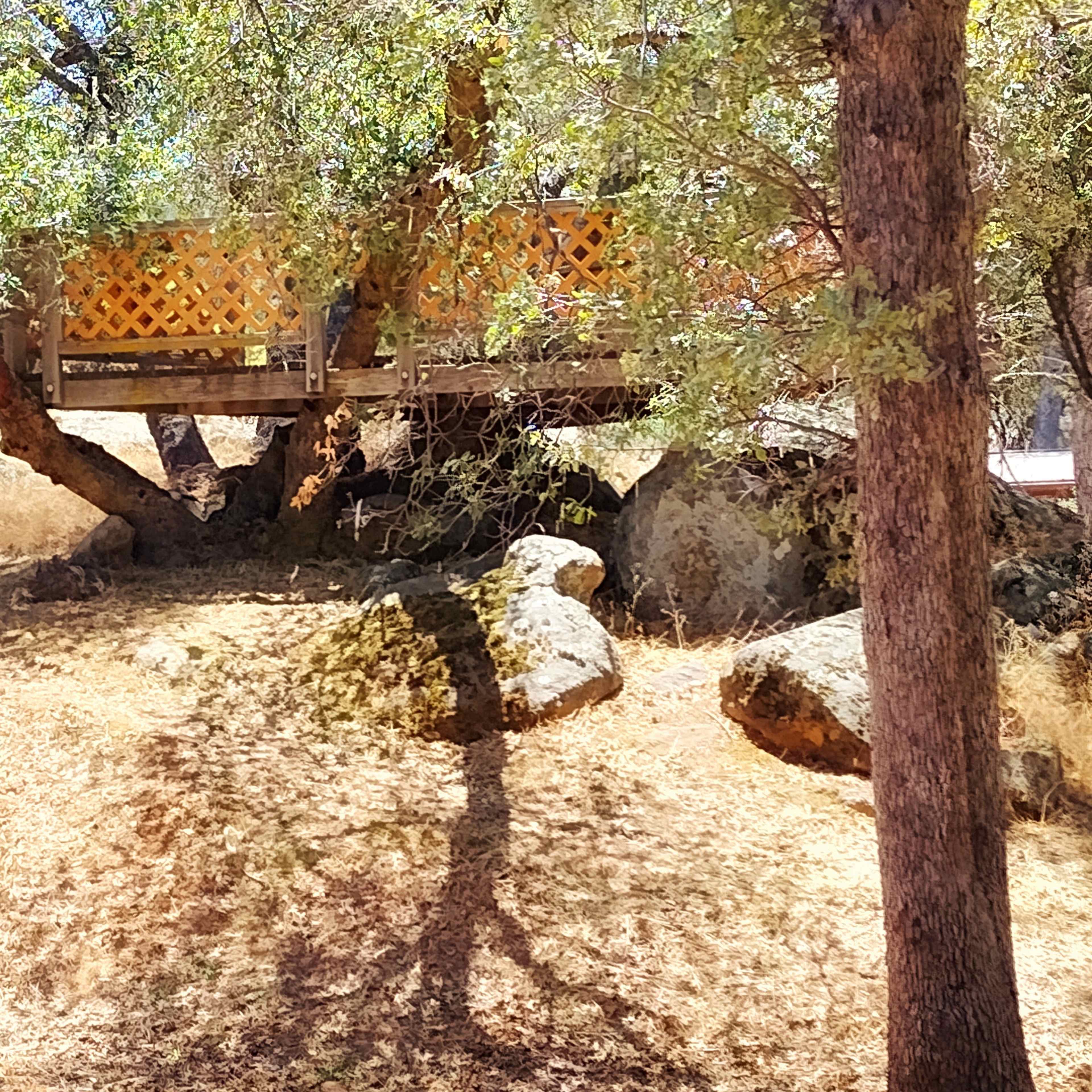 A wooden platform is built among the trees on a hillside, surrounded by dry grass and large rocks.