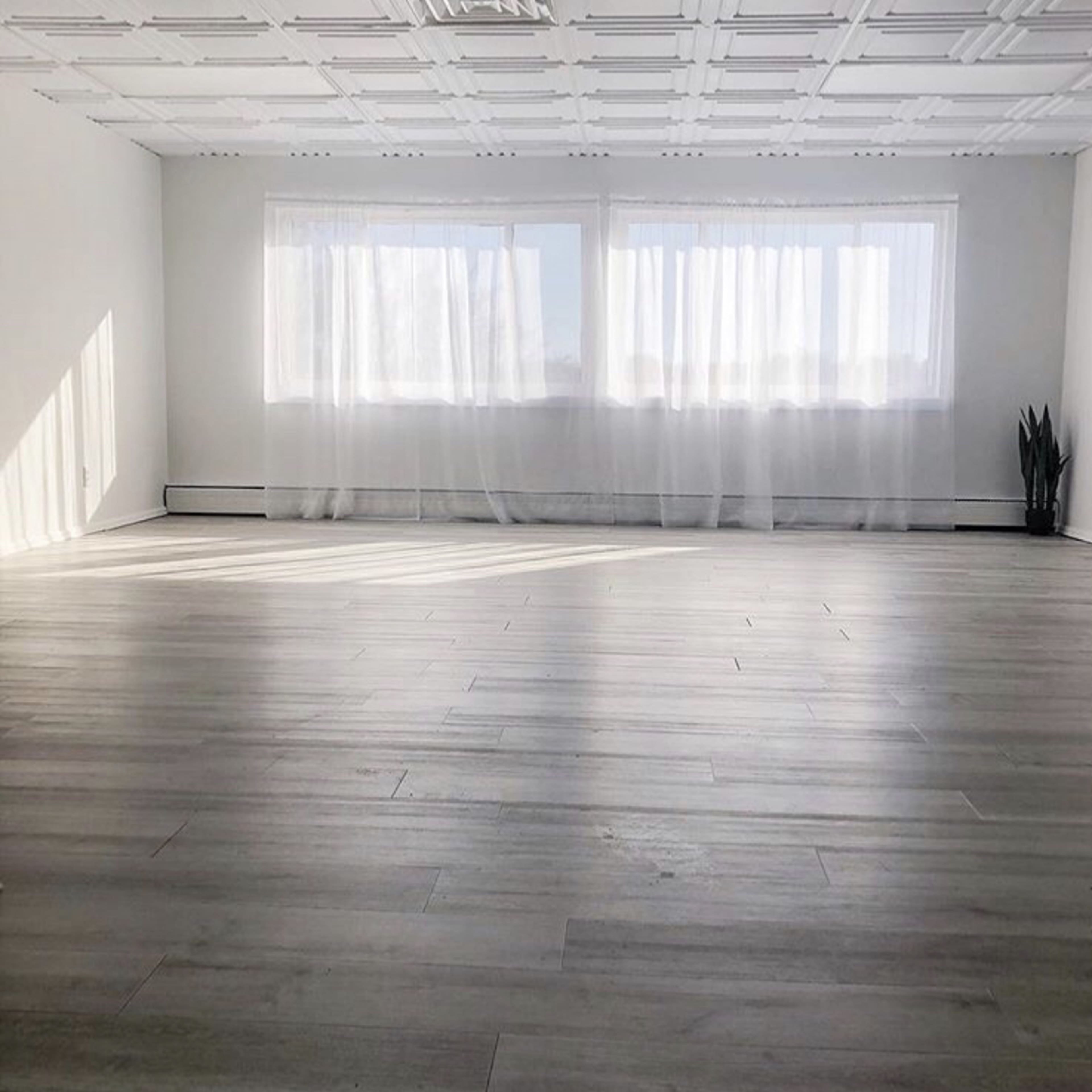 A bright, empty room with wooden floors, large windows covered by sheer curtains, and a single plant in the corner.