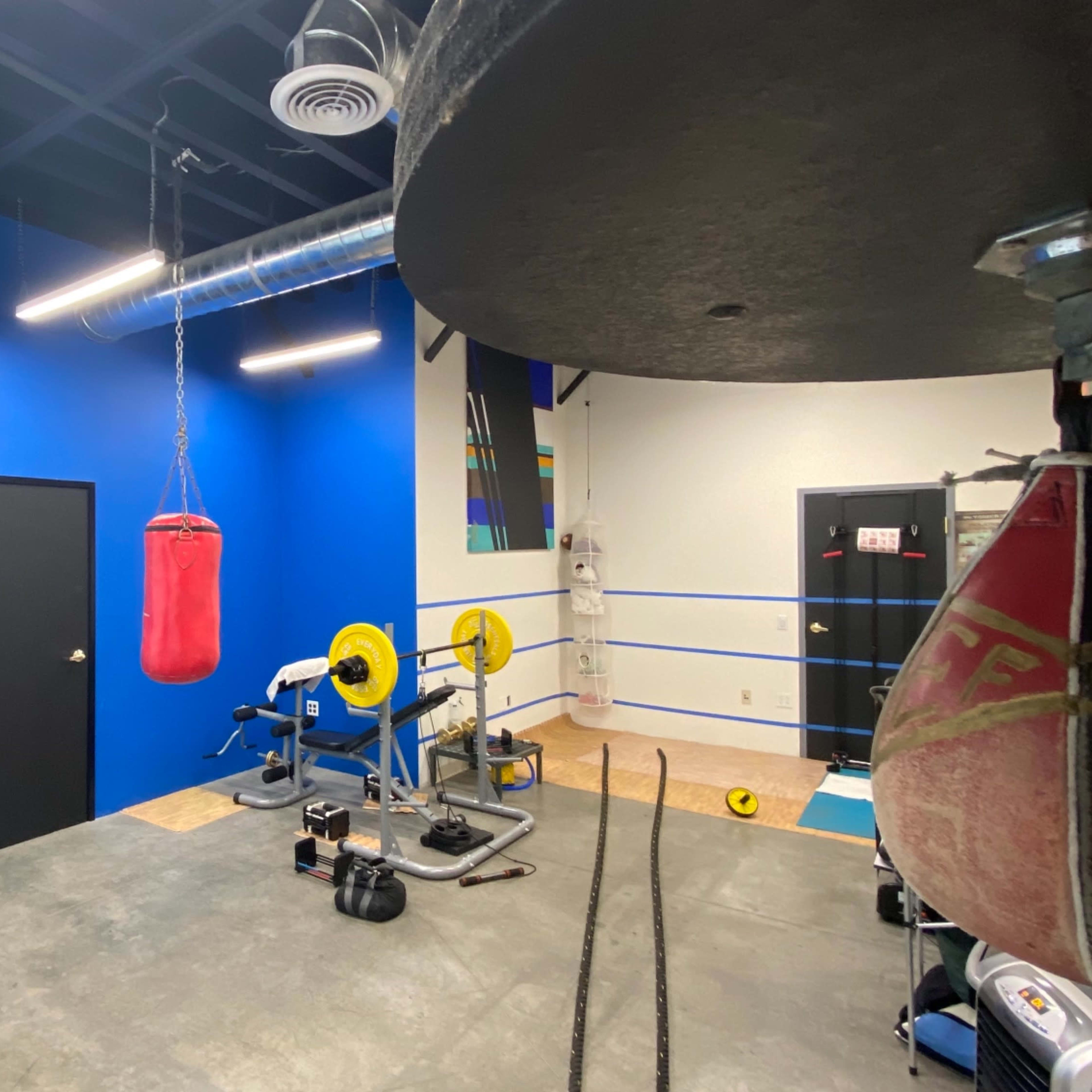 A gym space with various boxing bags hanging from the ceiling, weightlifting equipment, and a blue wall.