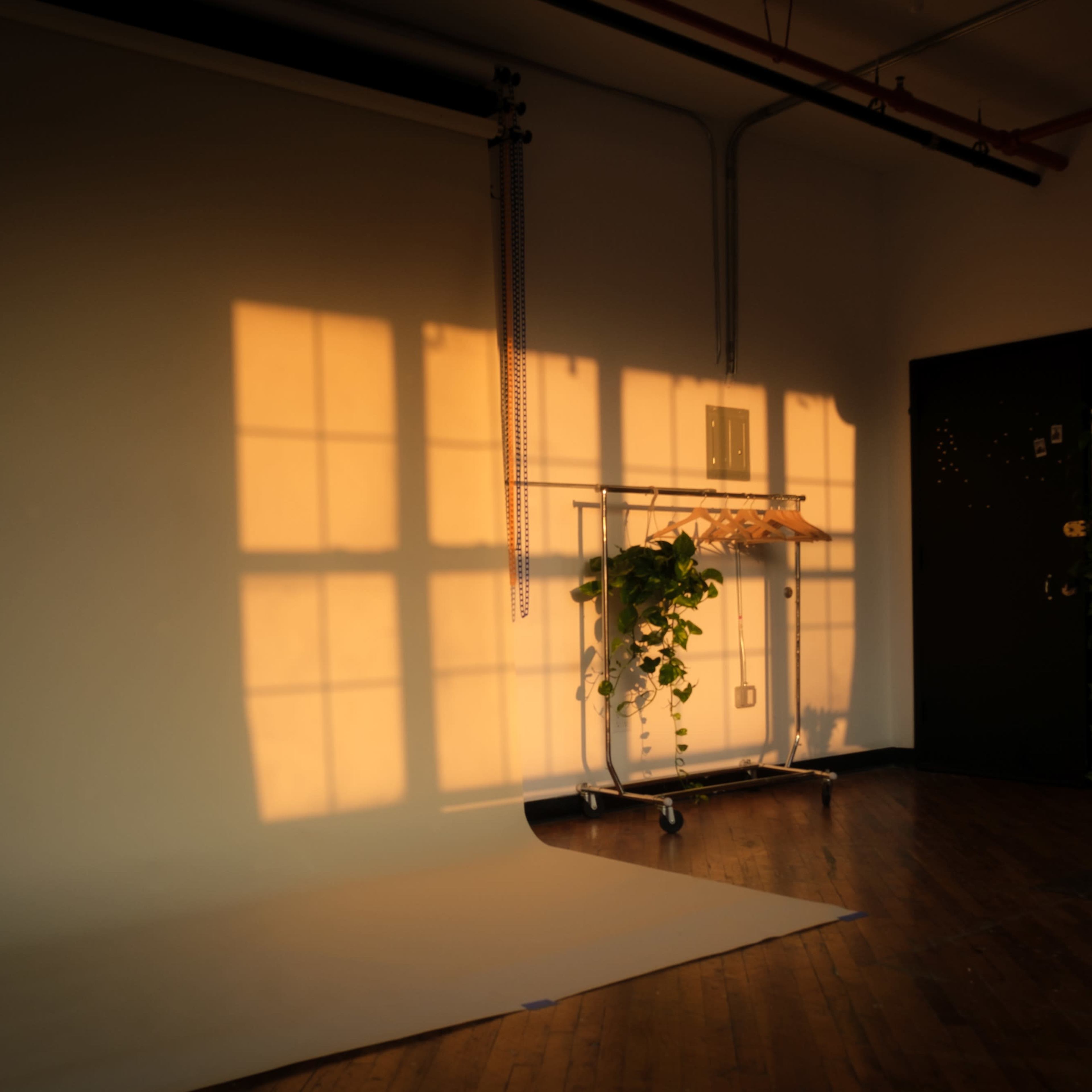 A studio interior features a clothing rack with a plant, cast in warm shadows from large windows, alongside a wall adorned with greenery.