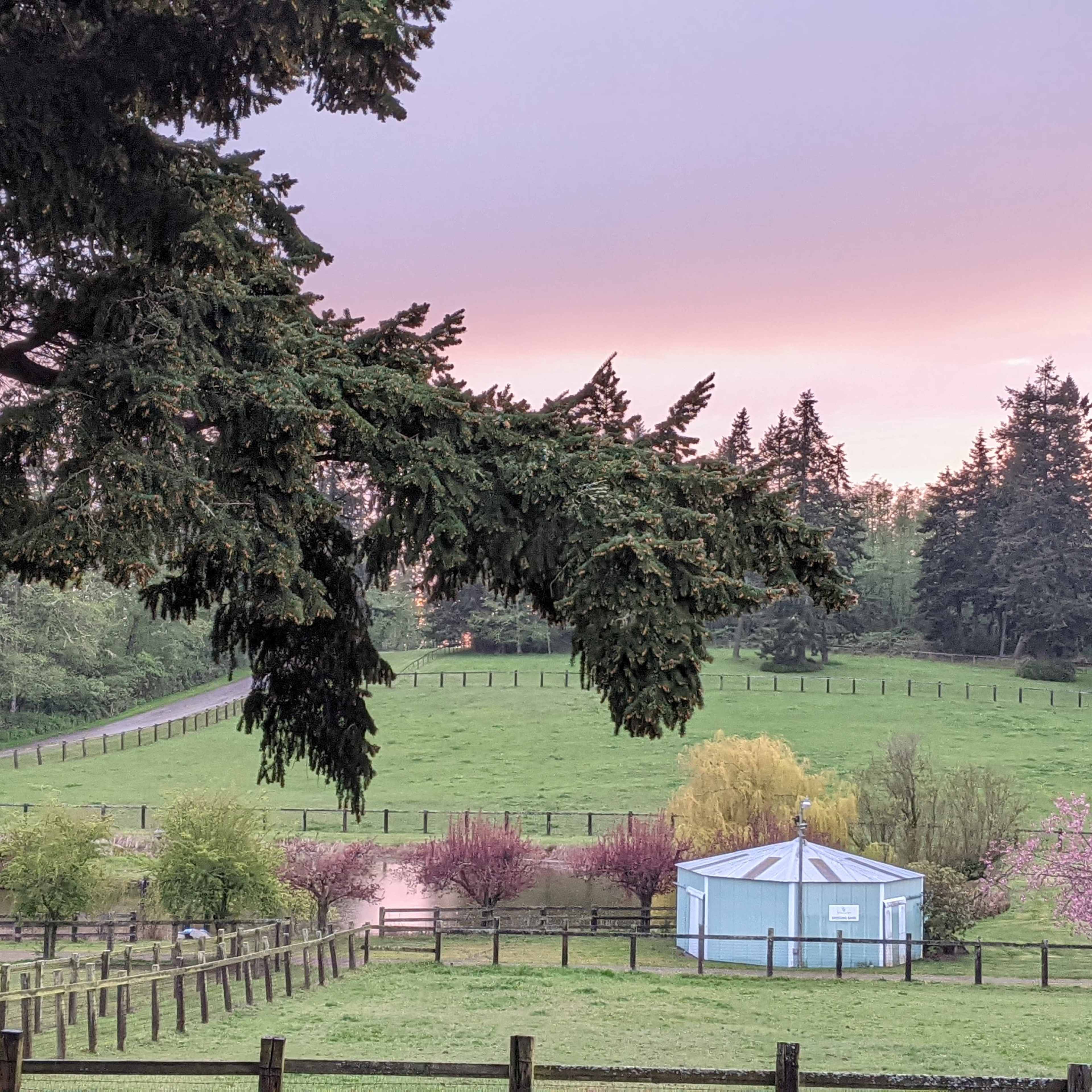 A round, blue structure is situated in a grassy field surrounded by trees and a fence, with a soft gradient sky in the background.