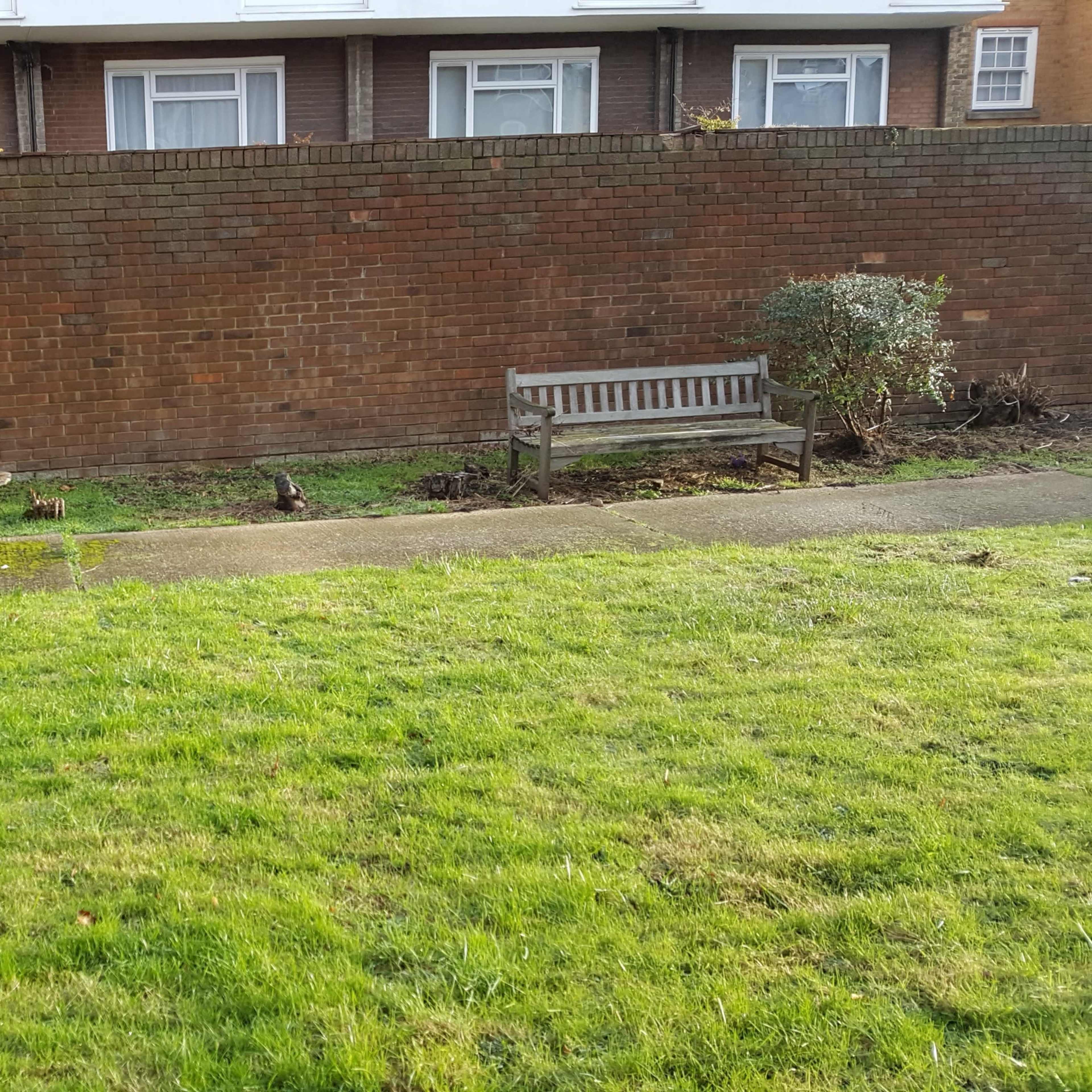 A wooden bench sits along a concrete path beside a grassy area and a wall covered with ivy.