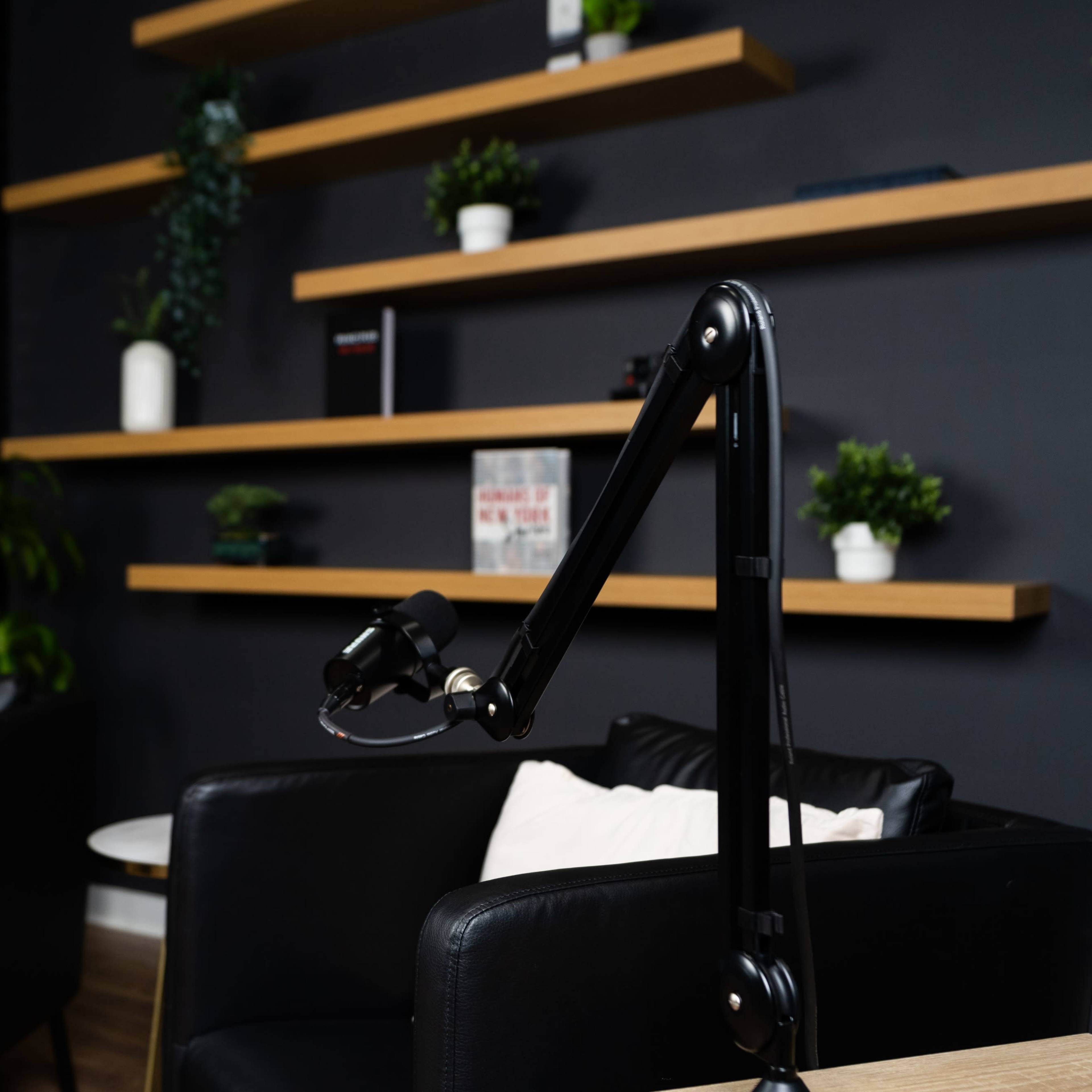 A modern interior with black leather chairs, a wooden shelf containing plants and books, and microphone stands positioned for recording.