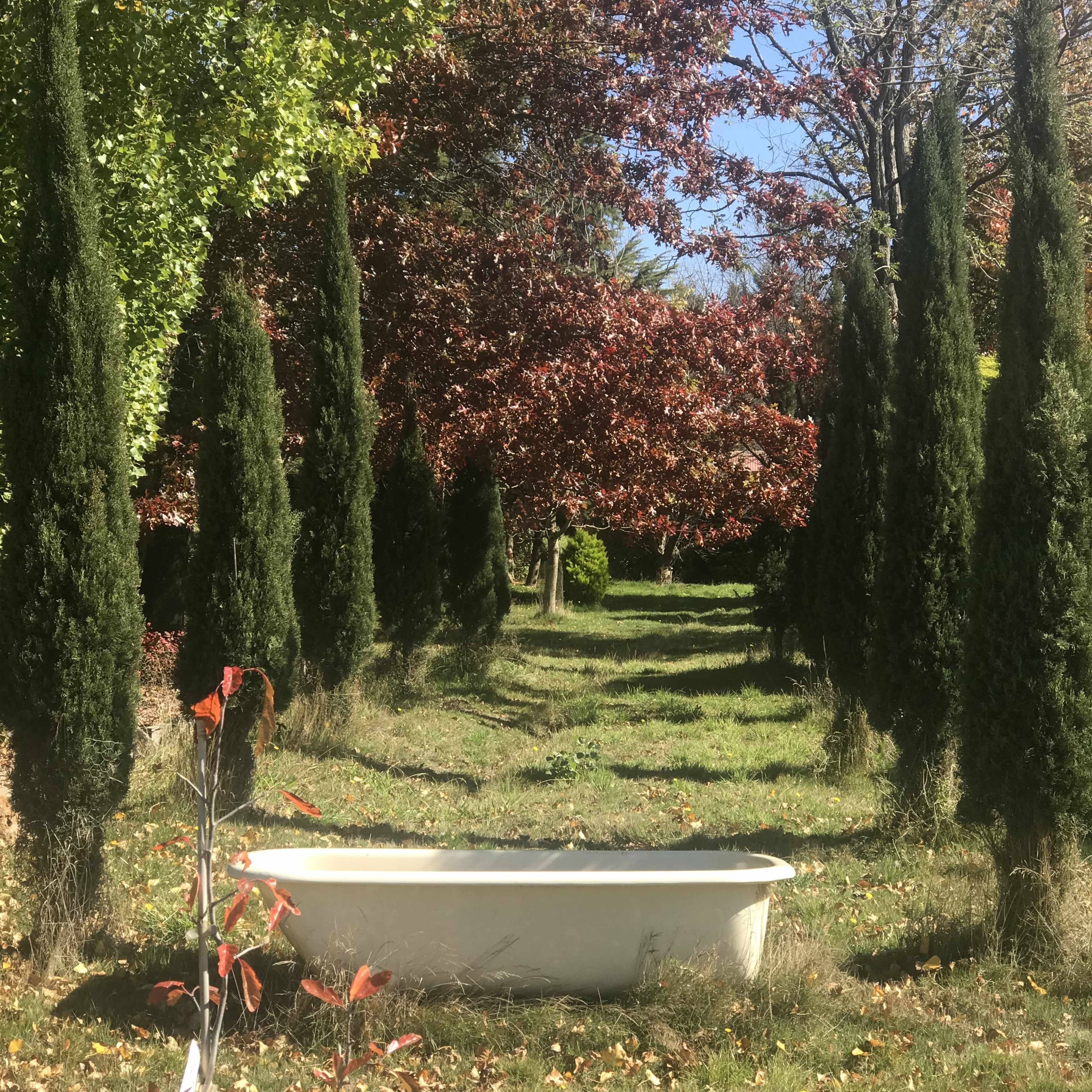 A white bathtub is positioned on a grassy path flanked by tall, green conifer trees and colorful autumn foliage.