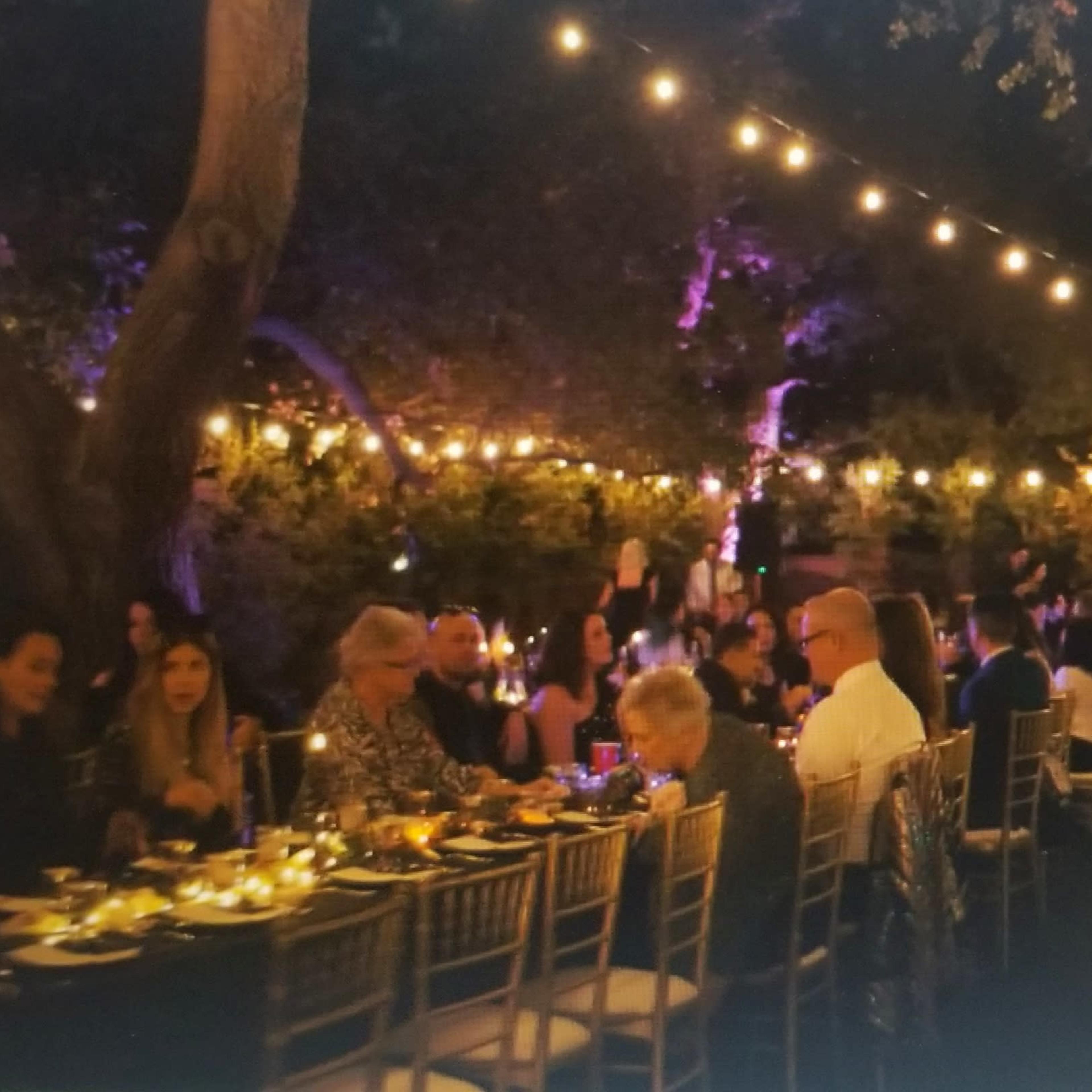 A long table is set for a dinner party outdoors, illuminated by string lights and surrounded by trees with guests seated on either side.