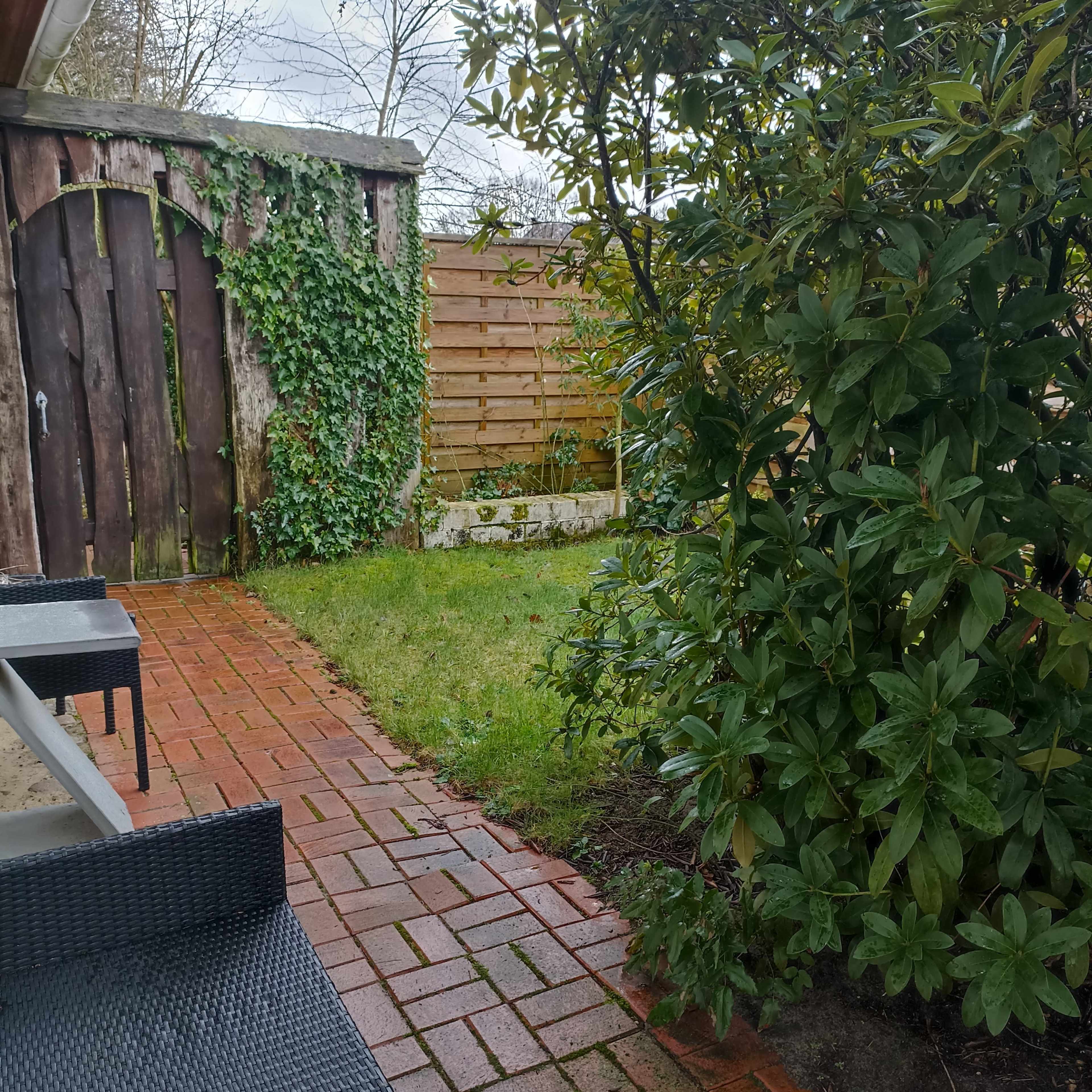 A brick pathway leads to a green lawn surrounded by shrubs and a wooden gate partially covered with ivy.