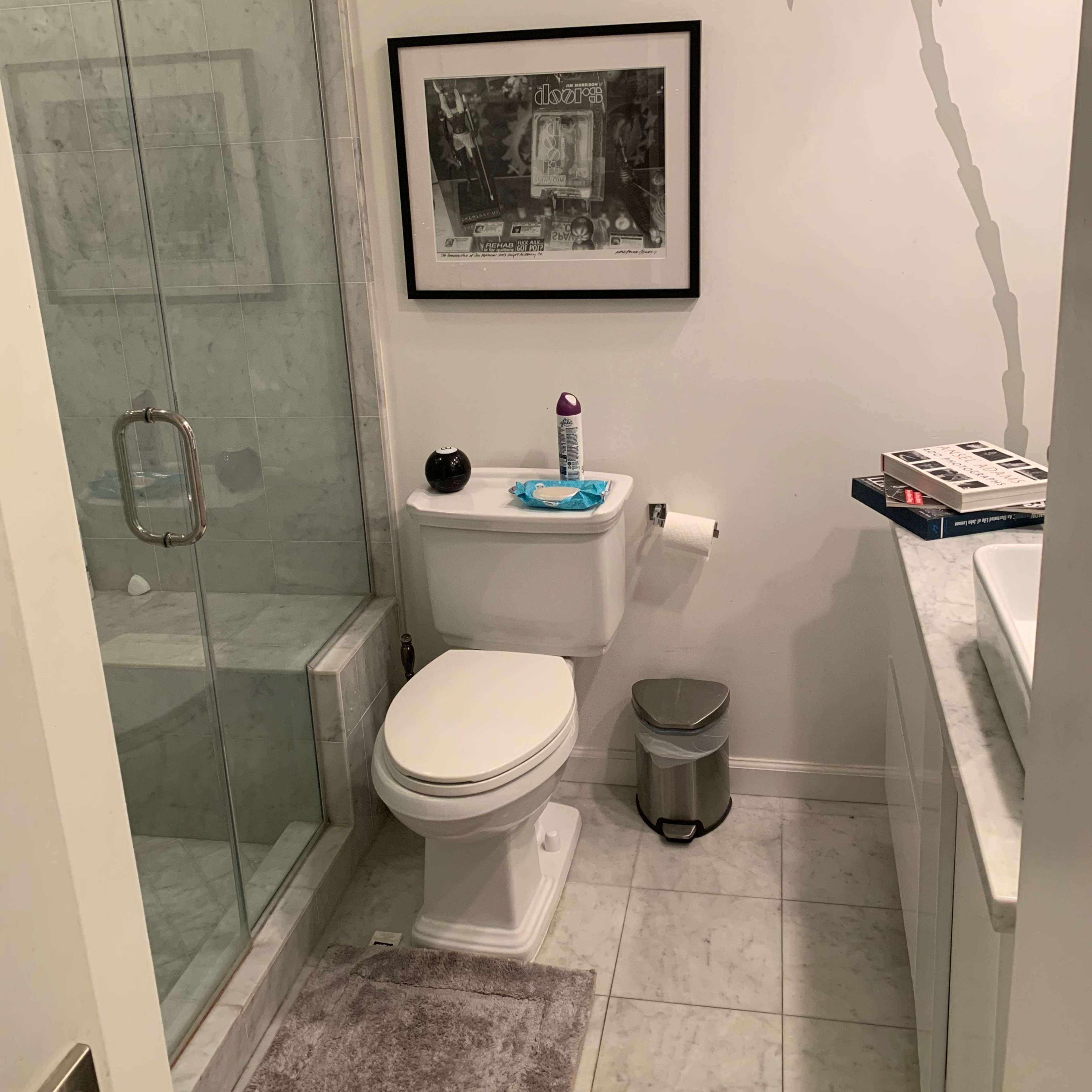 A small bathroom features a glass shower, a white toilet, a sink with counter space, and decorative elements like a framed picture and a palm tree silhouette on the wall.