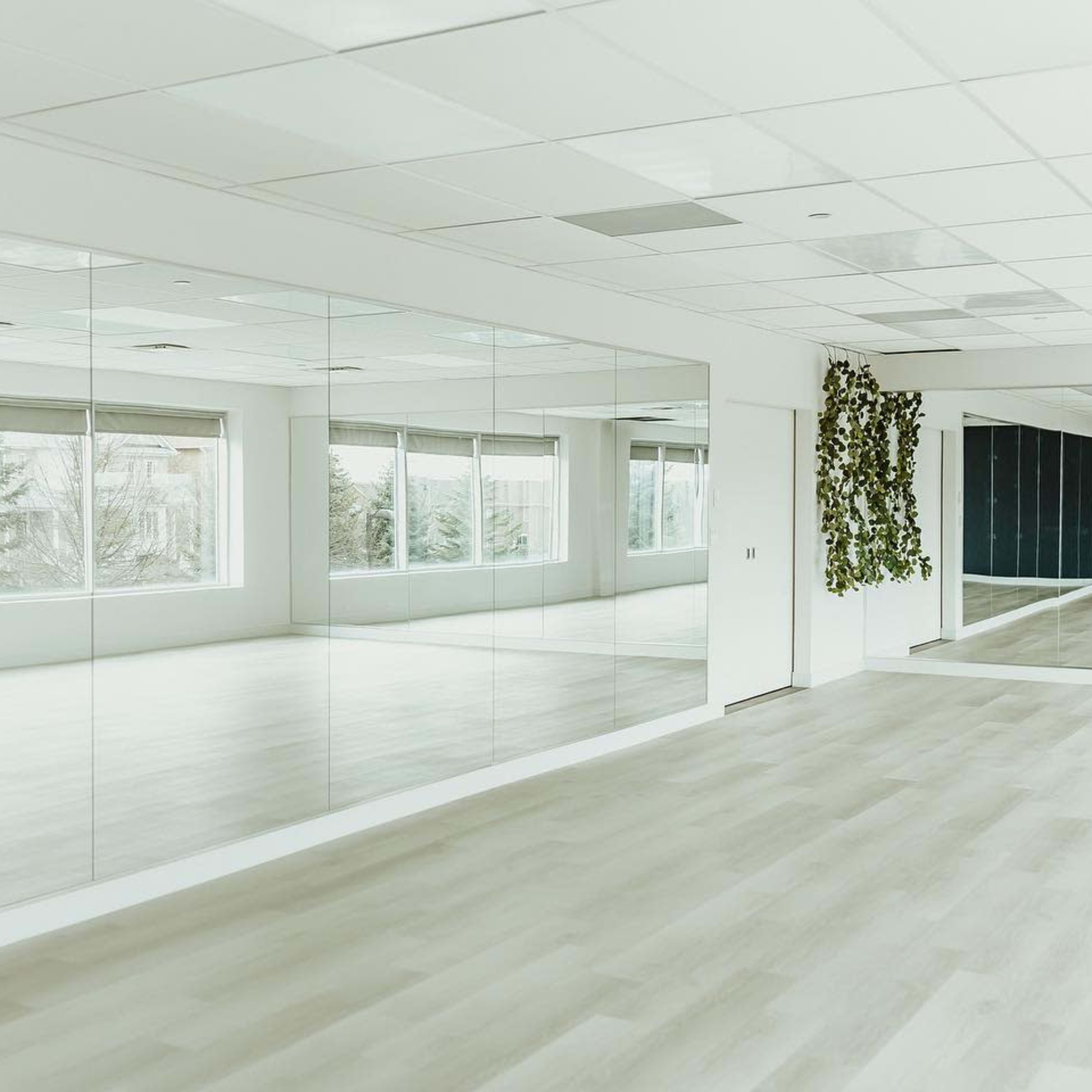 A bright, empty room with large windows, mirrored walls, and a green plant feature.