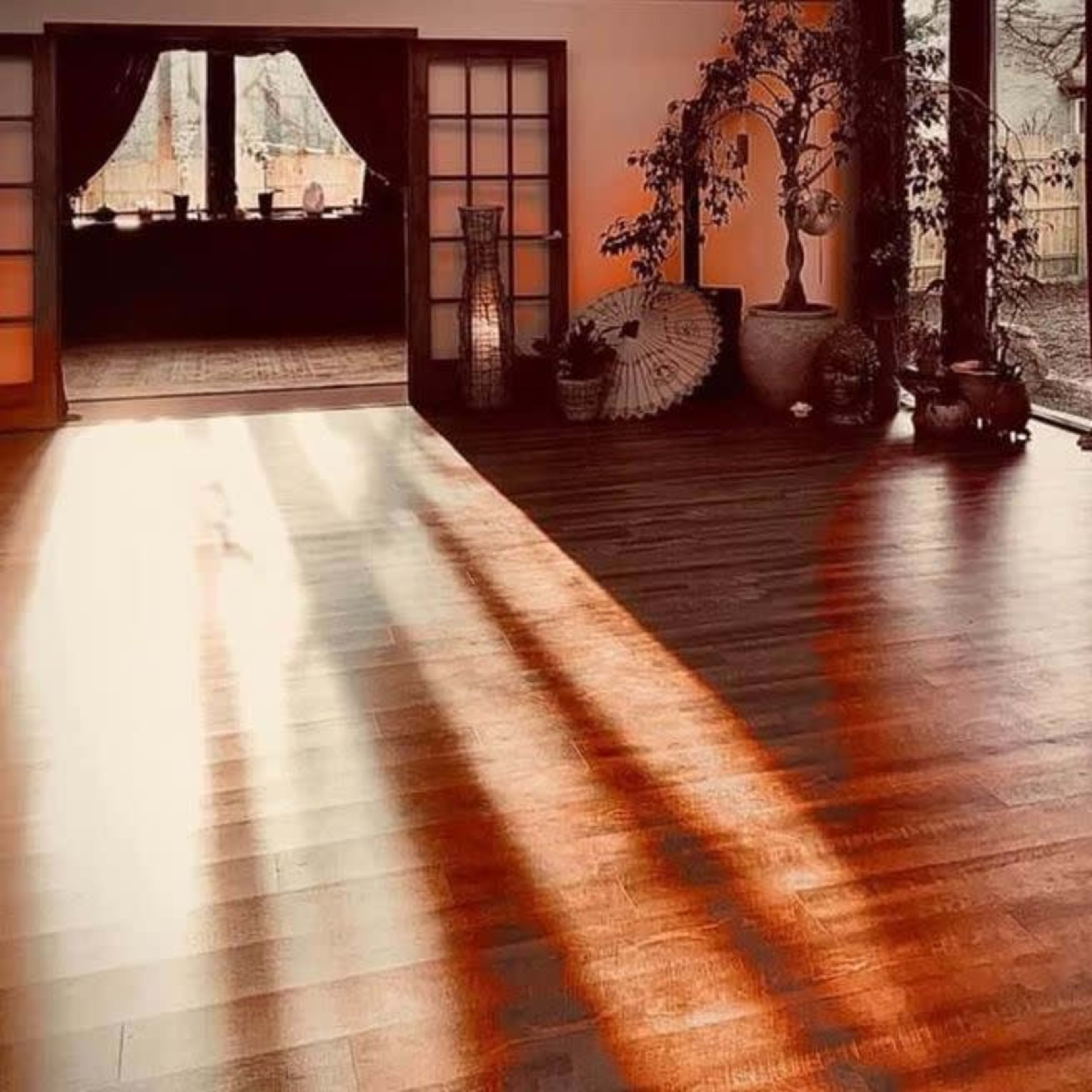 Sunlight streams through large windows onto a wooden floor in a spacious room with plants and decorative elements.