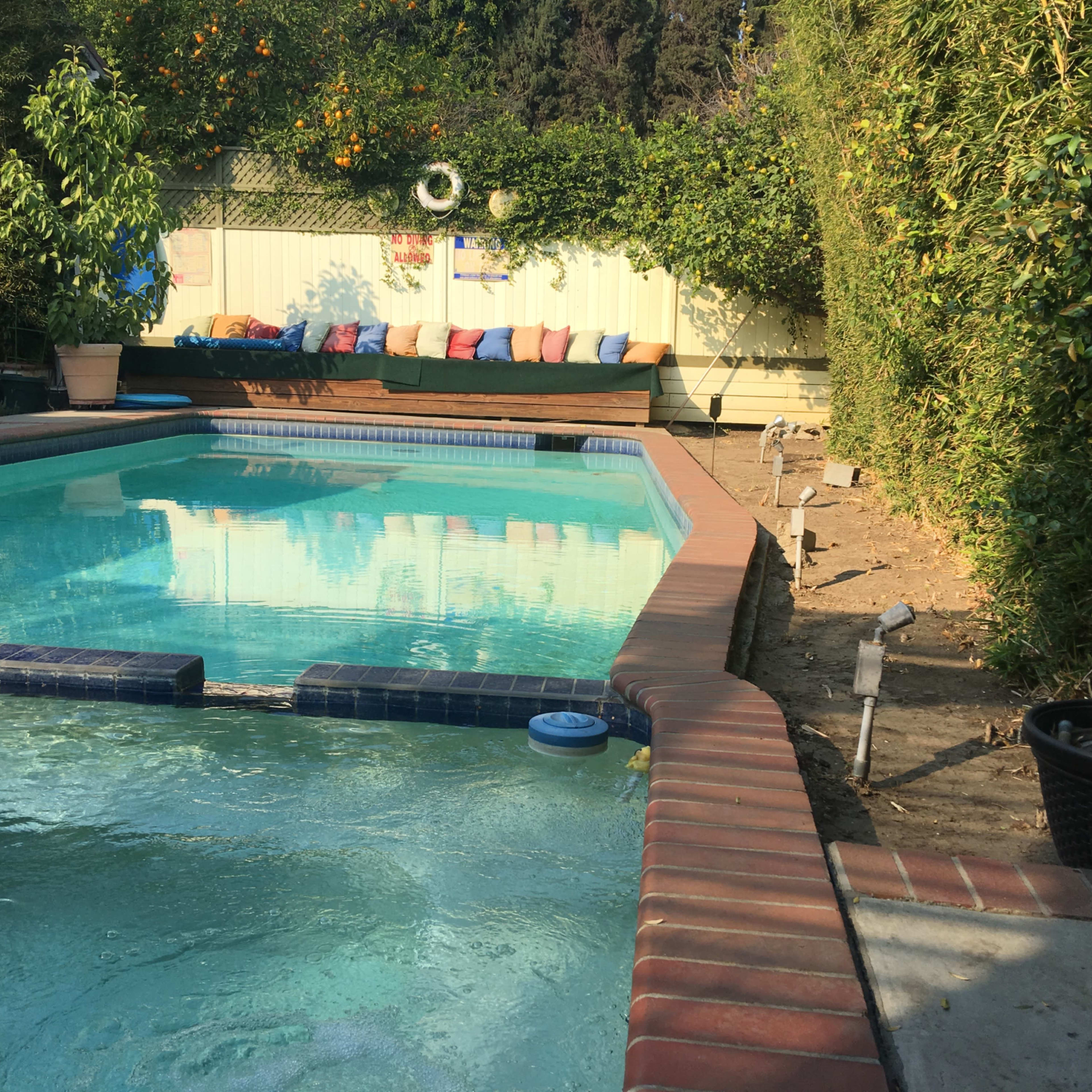 A swimming pool surrounded by greenery and a seating area with cushions in the background.