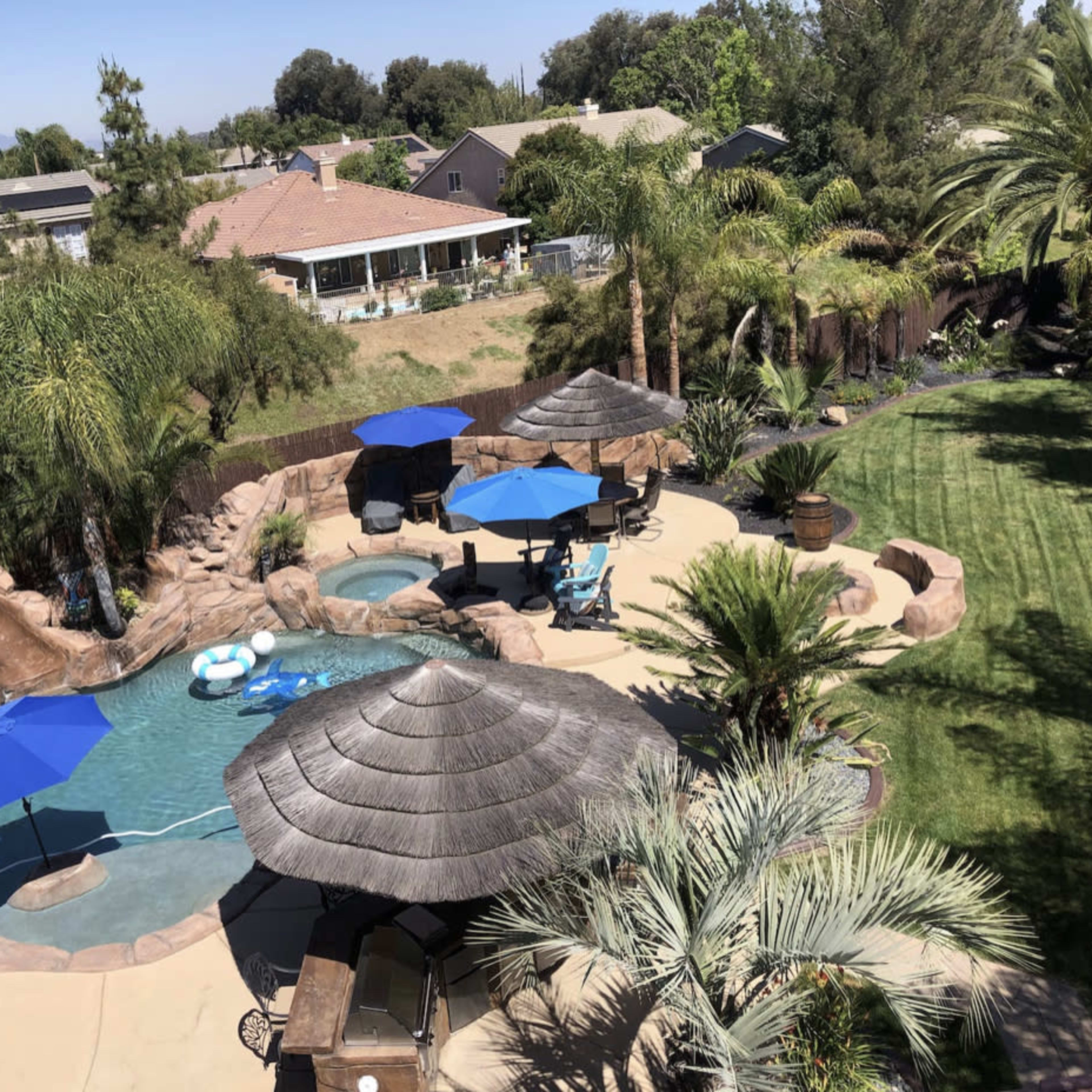 A backyard pool area featuring a kidney-shaped swimming pool surrounded by palm trees, tiki umbrellas, and lounge chairs.