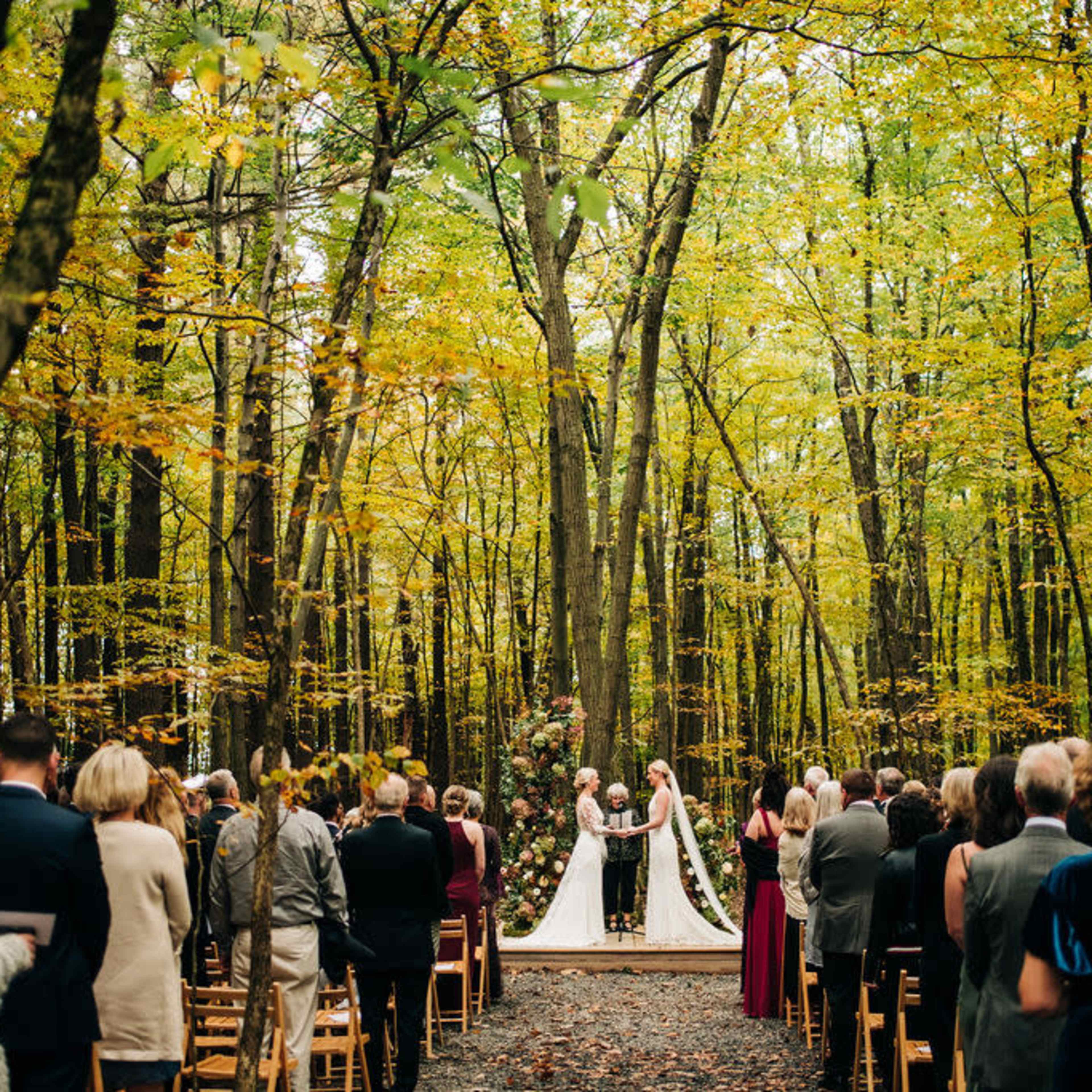 A couple is exchanging vows in a forest clearing surrounded by guests seated on wooden chairs.