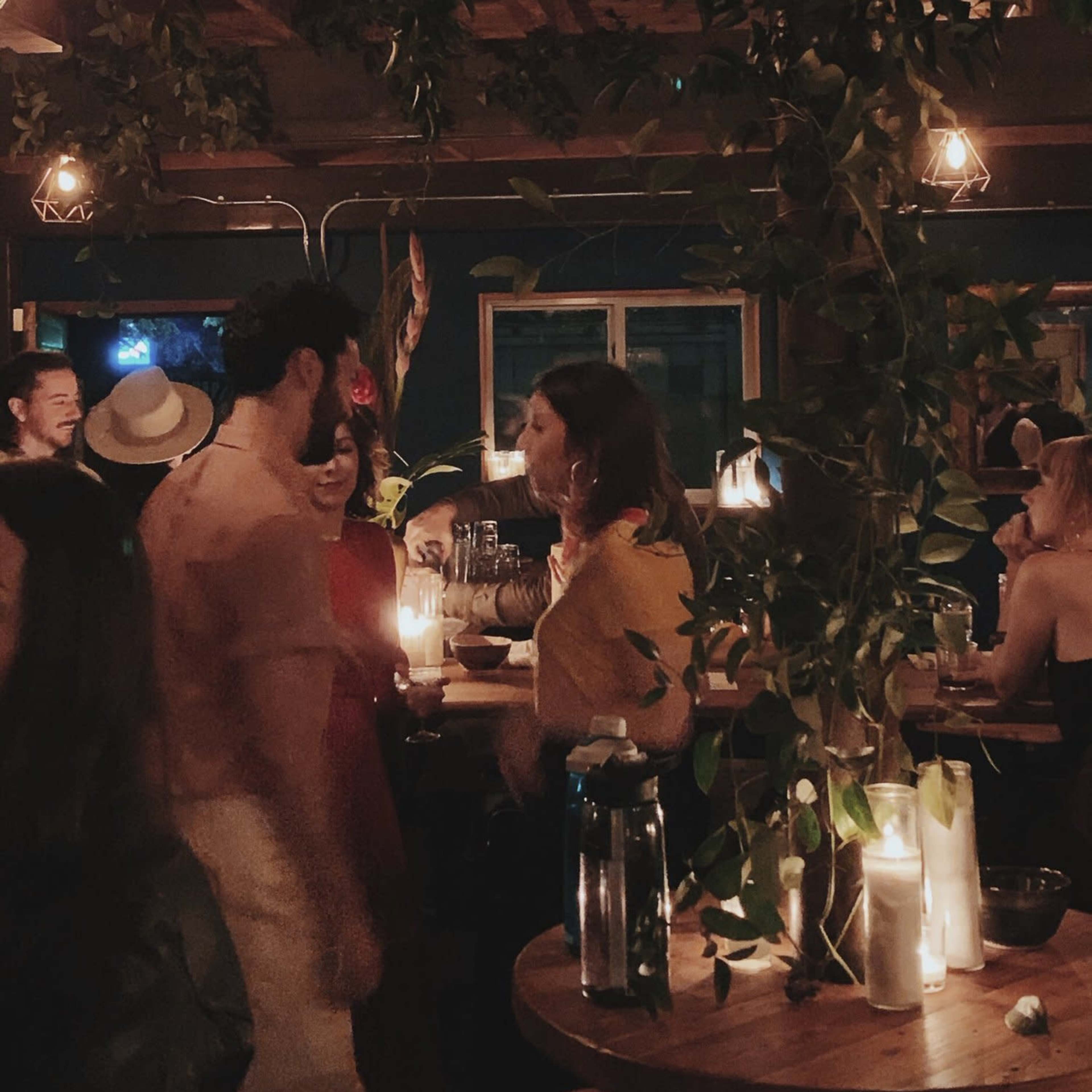 A dimly lit bar scene with people interacting and plants hanging from the ceiling.