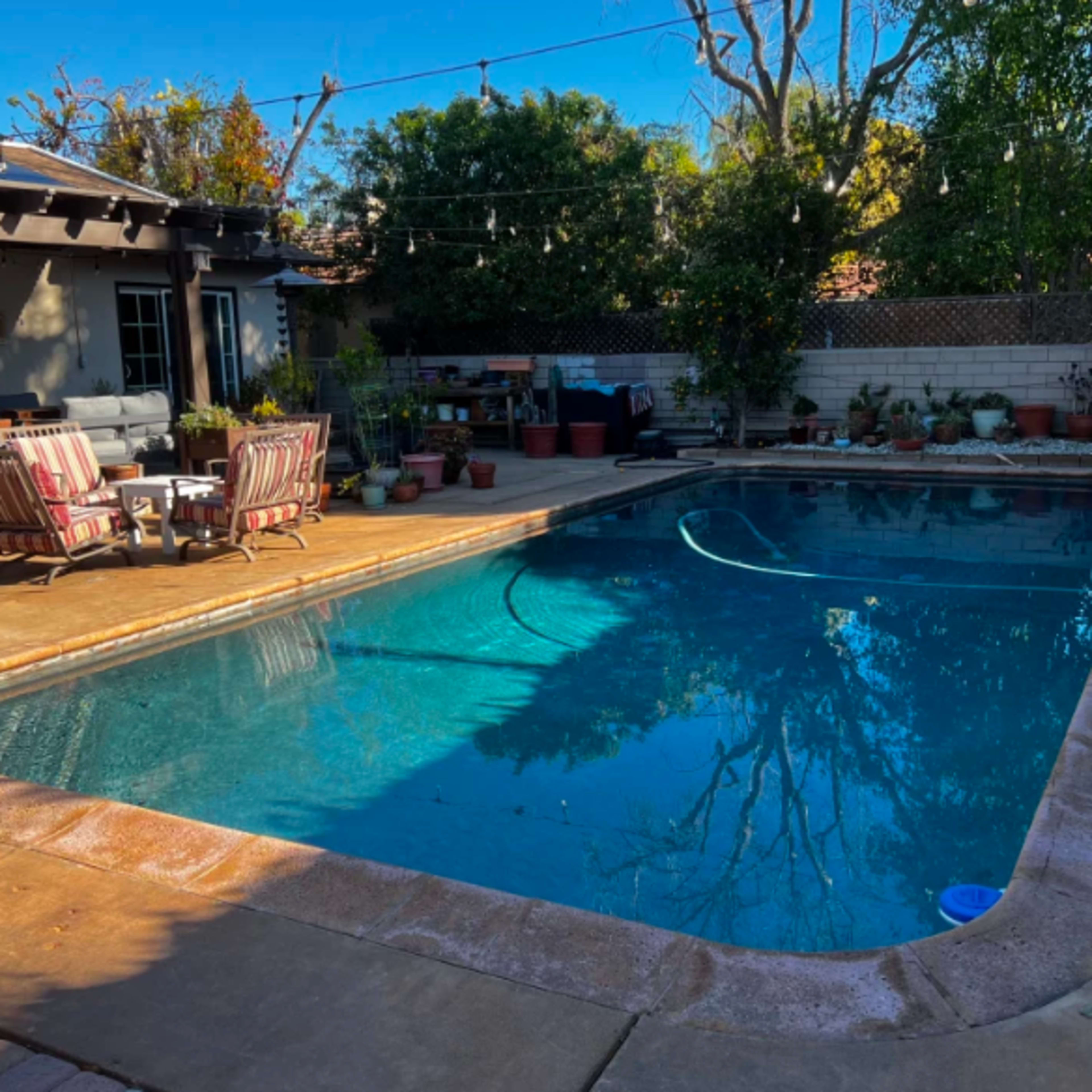 A backyard pool surrounded by potted plants and outdoor seating.
