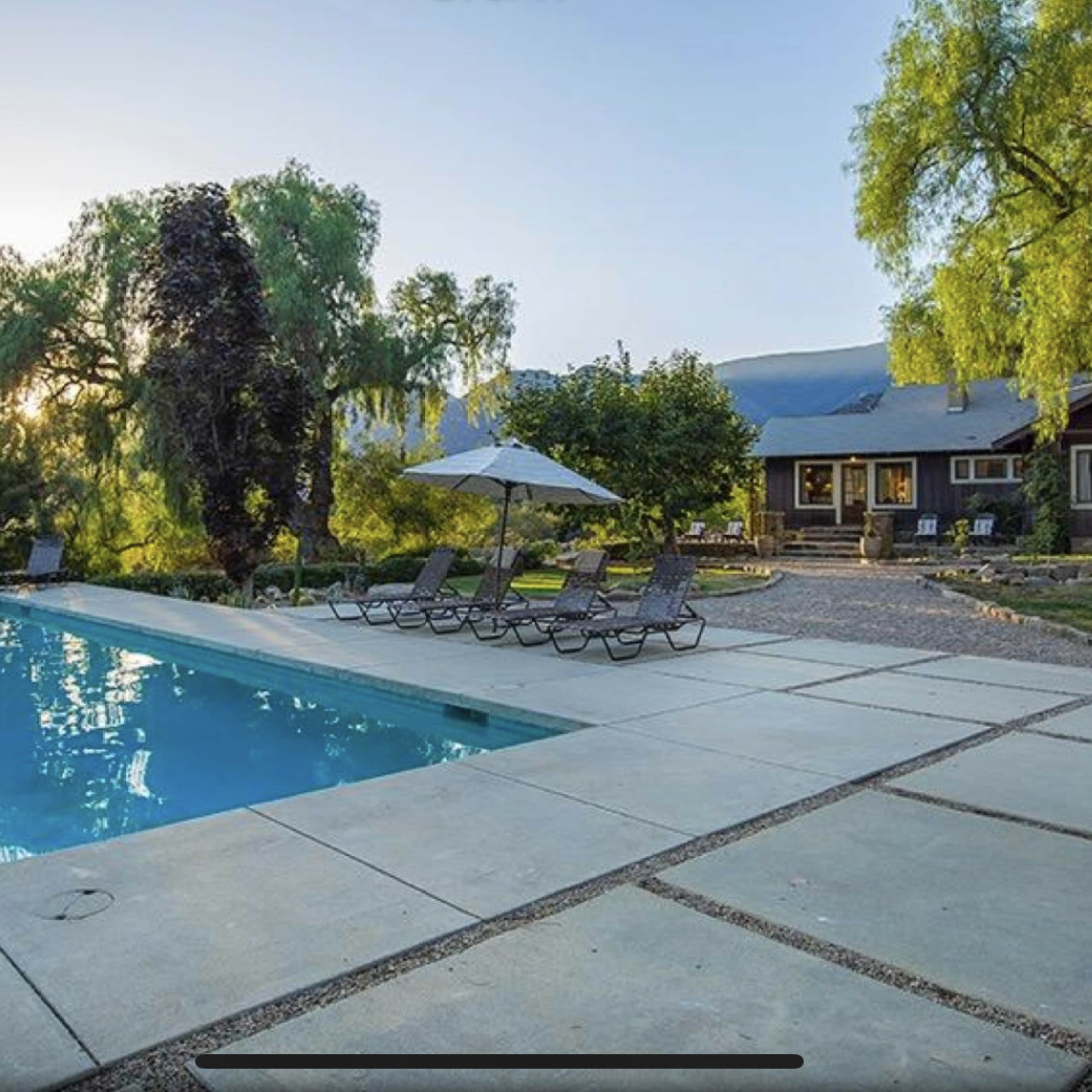 A rectangular swimming pool is surrounded by lounge chairs and a patio in a landscaped backyard with trees and a house in the background.