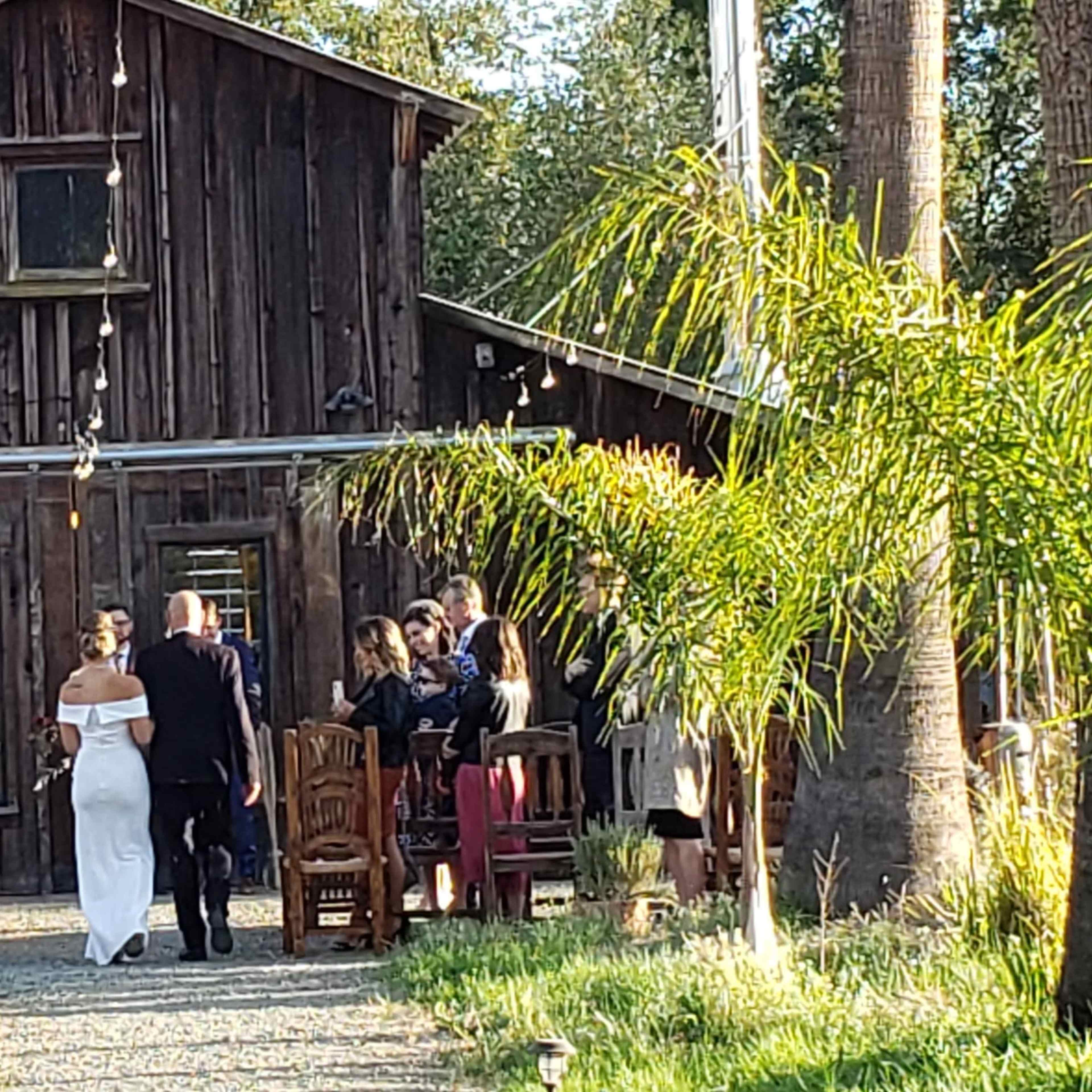 A wedding ceremony is taking place outdoors in front of a rustic wooden barn, surrounded by guests seated on wooden chairs amidst palm trees.