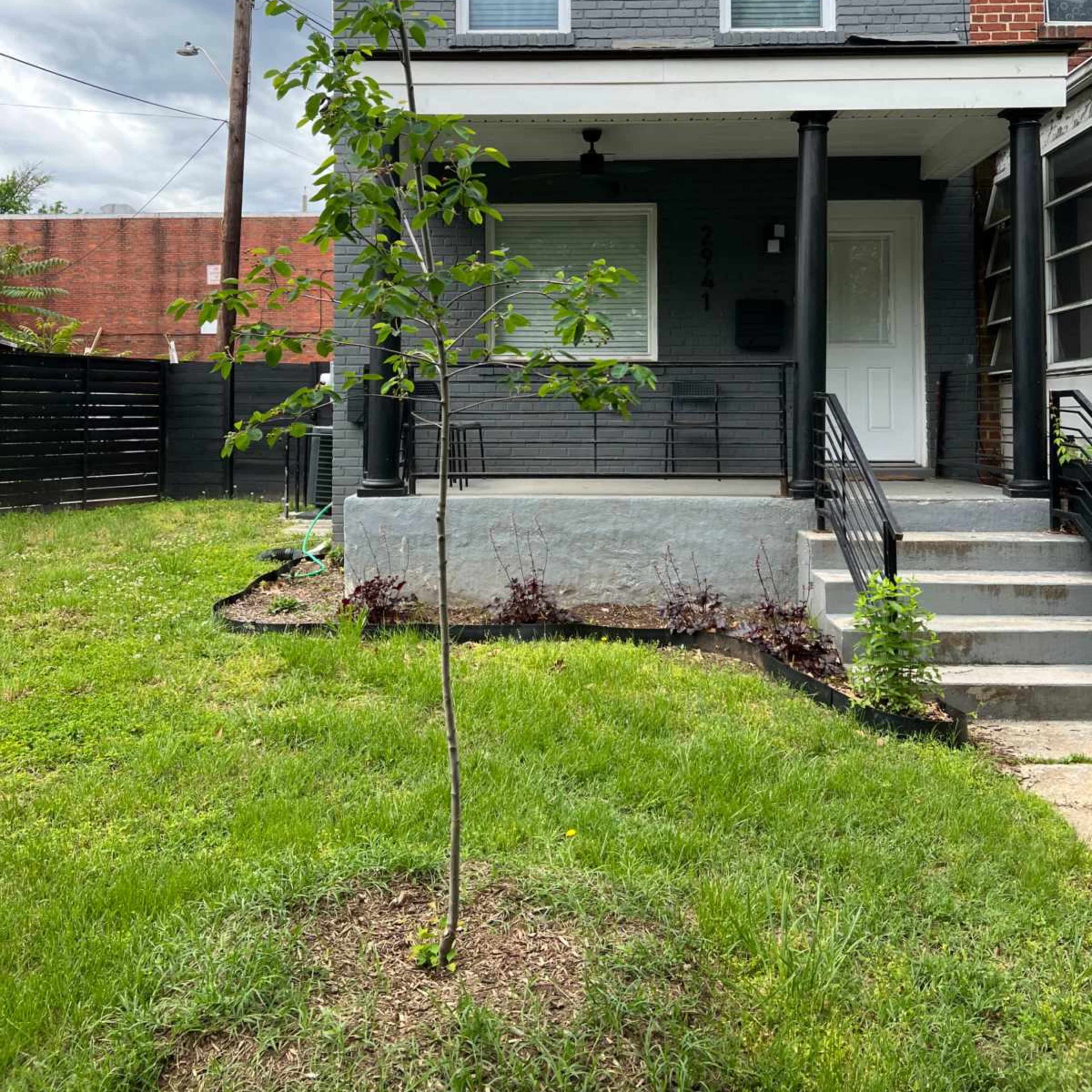 Oguledo Properties Image in Fairlawn, Washington, DC