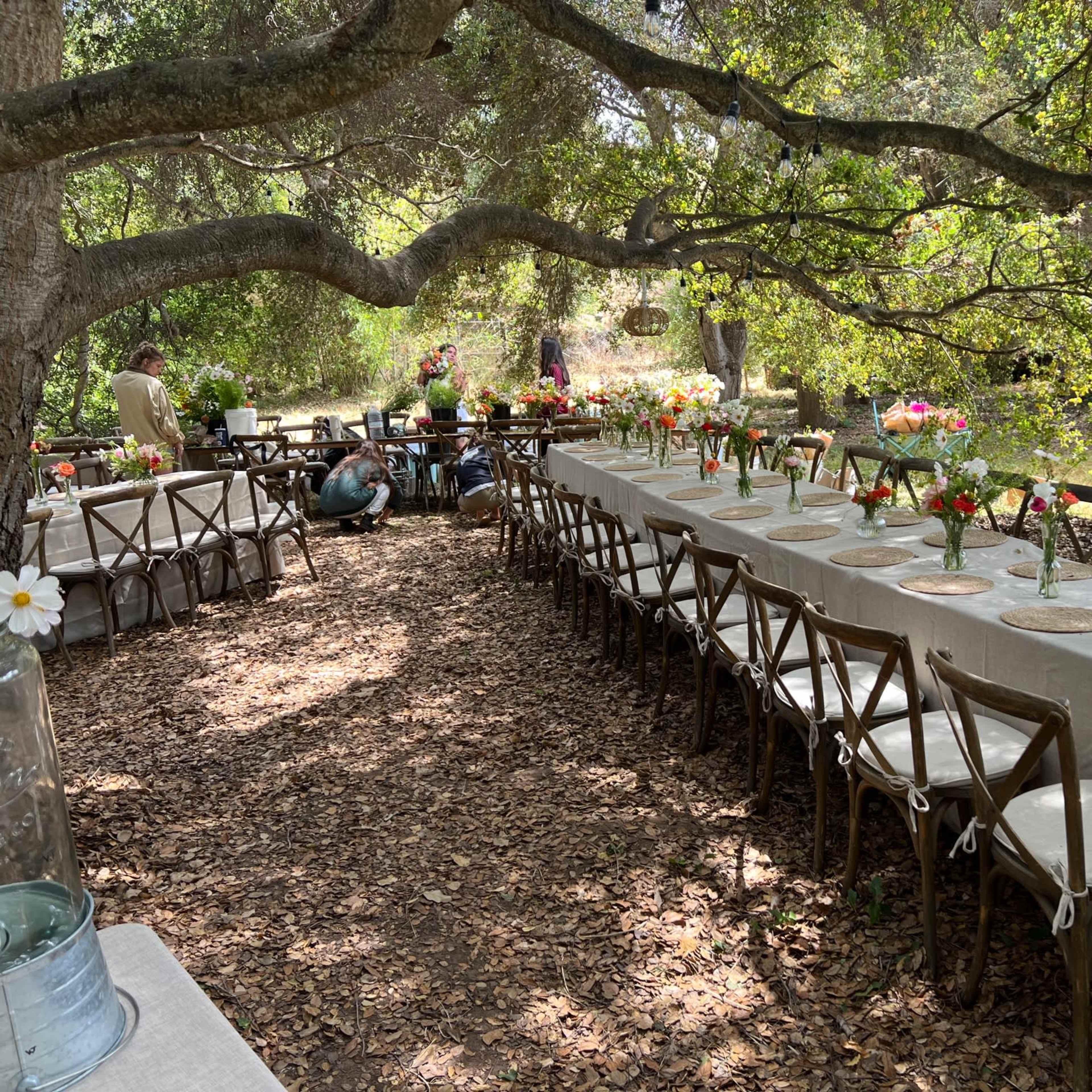 Beautiful Beach side Farm for Events and filming Image in Carpinteria, Carpinteria, CA