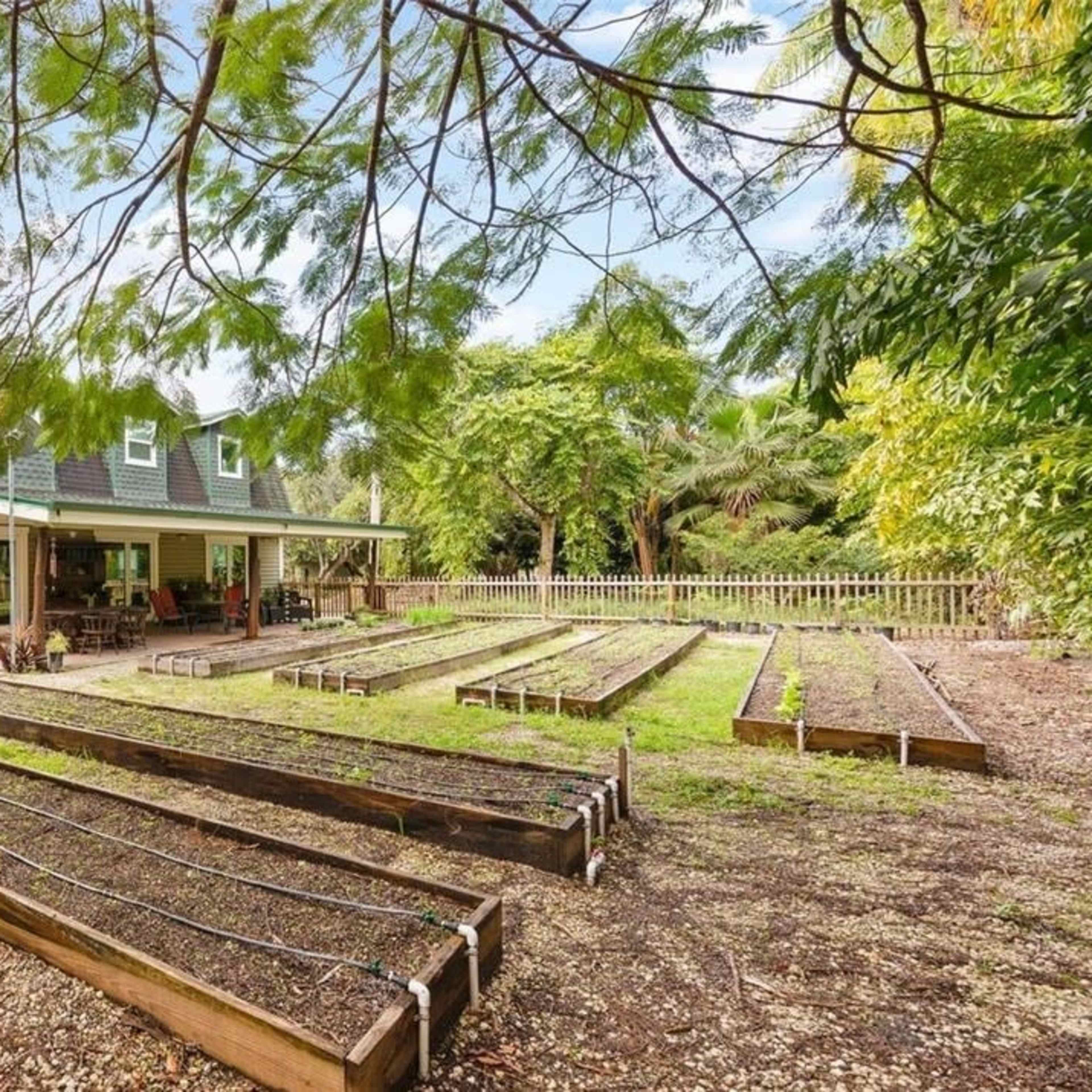 A two-story house is surrounded by organized garden beds with irrigation lines in a lush backyard setting.