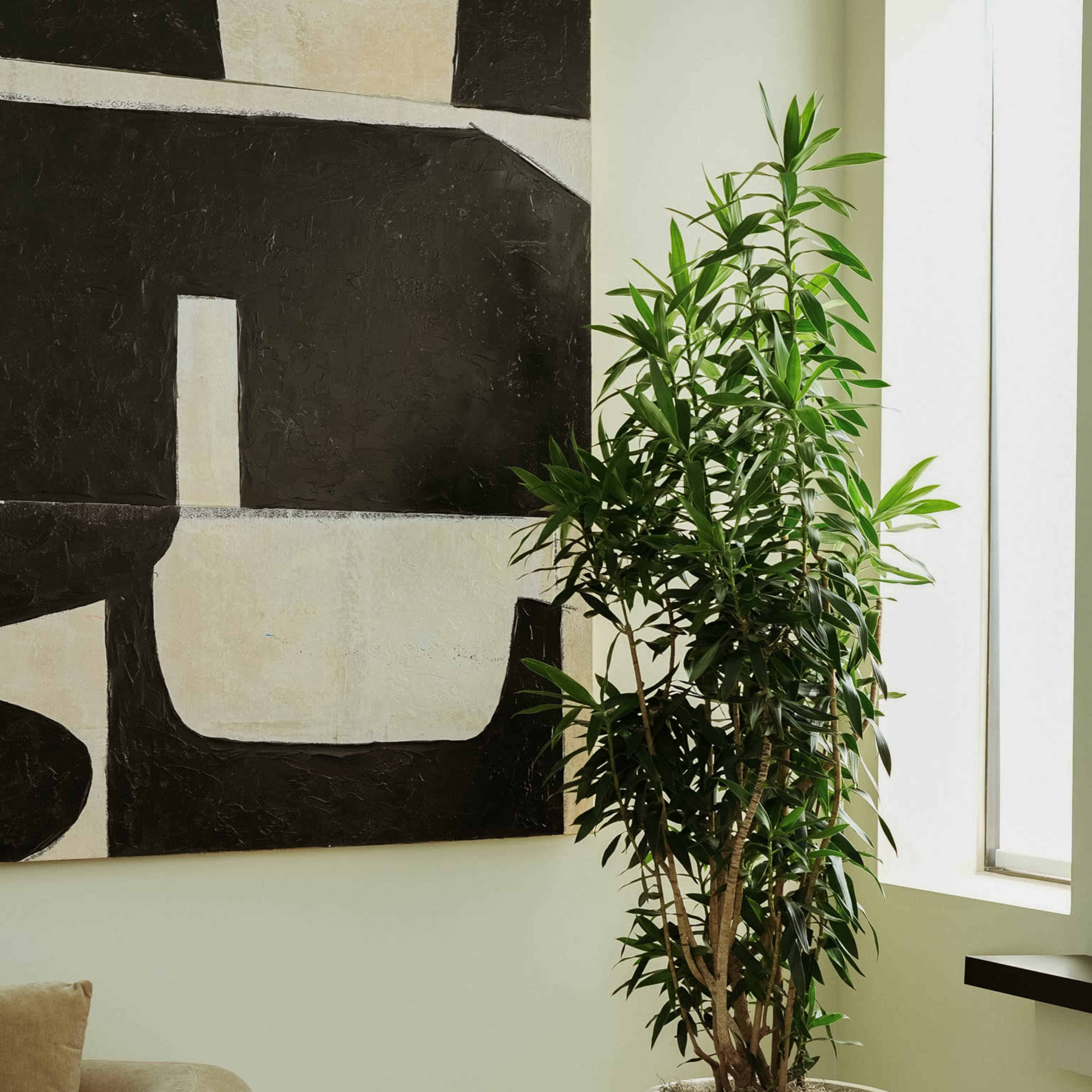Stylish Monochromatic Photo & video Studio with High Ceilings & Natural Light - Minutes From Toronto Airport Image in Clairville, Toronto, ON